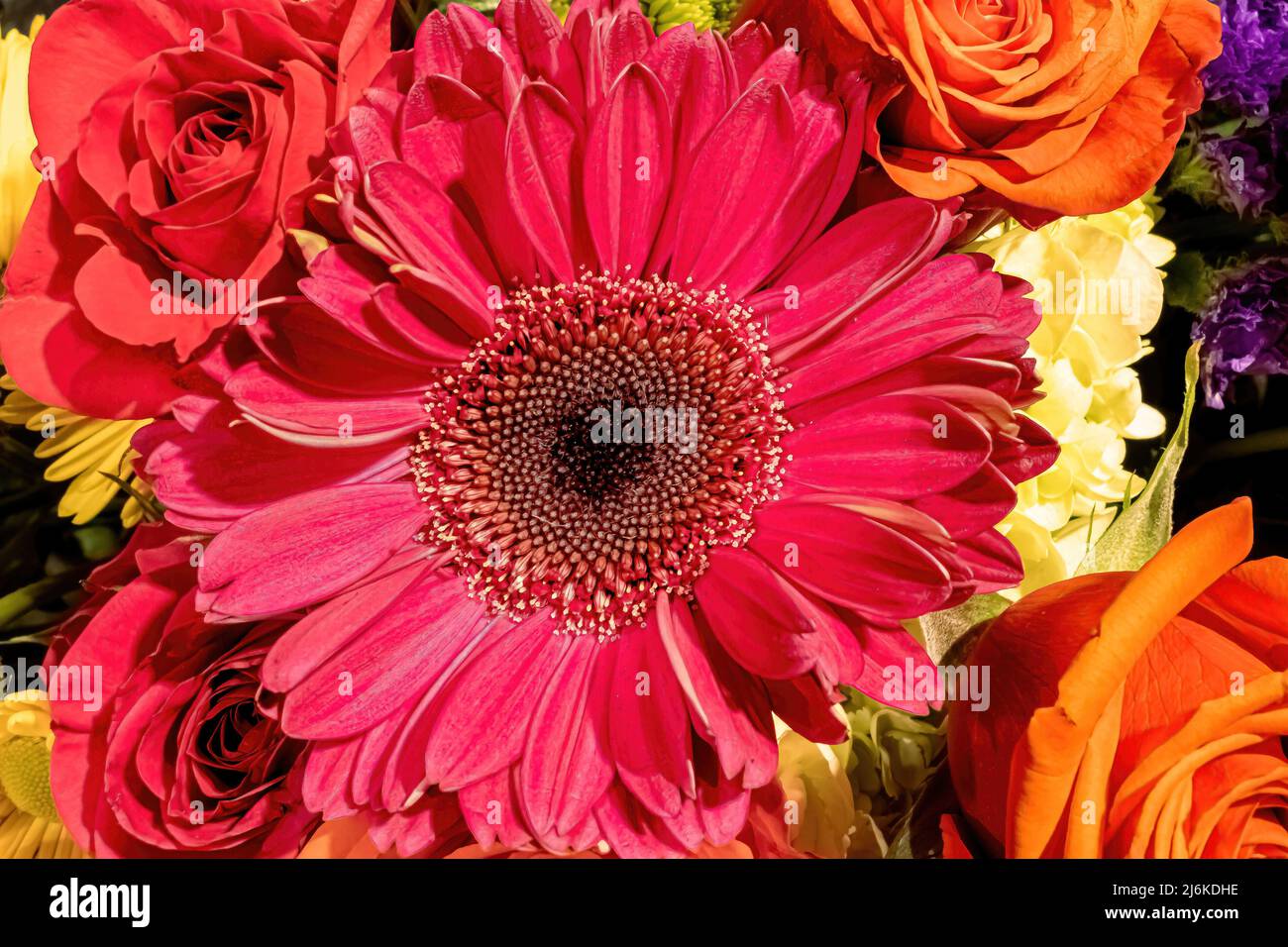 Surrounded by roses hi-res stock photography and images - Alamy