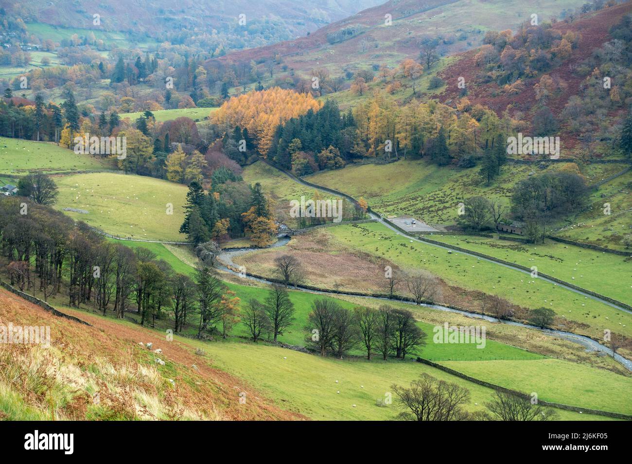 Autumn view looking down on the Grisedale valley near Patterdale in the English Lake District, Cumbria, England, UK Stock Photo