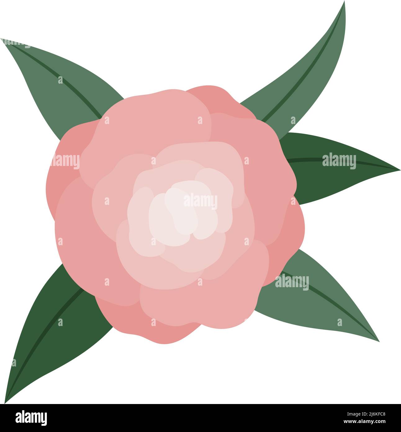 flower with leaves Stock Vector Image & Art - Alamy