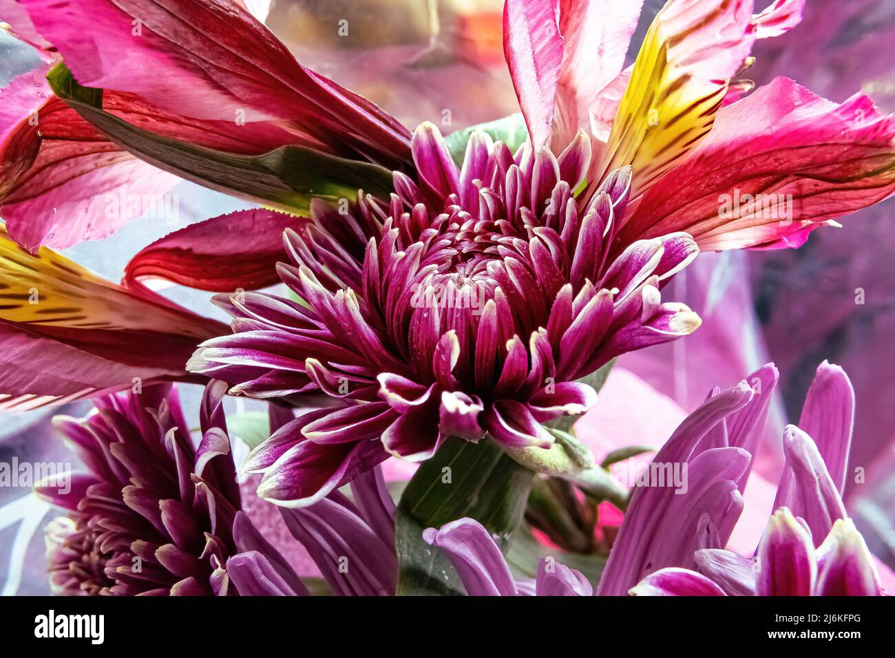 Outward pattern hi-res stock photography and images - Alamy