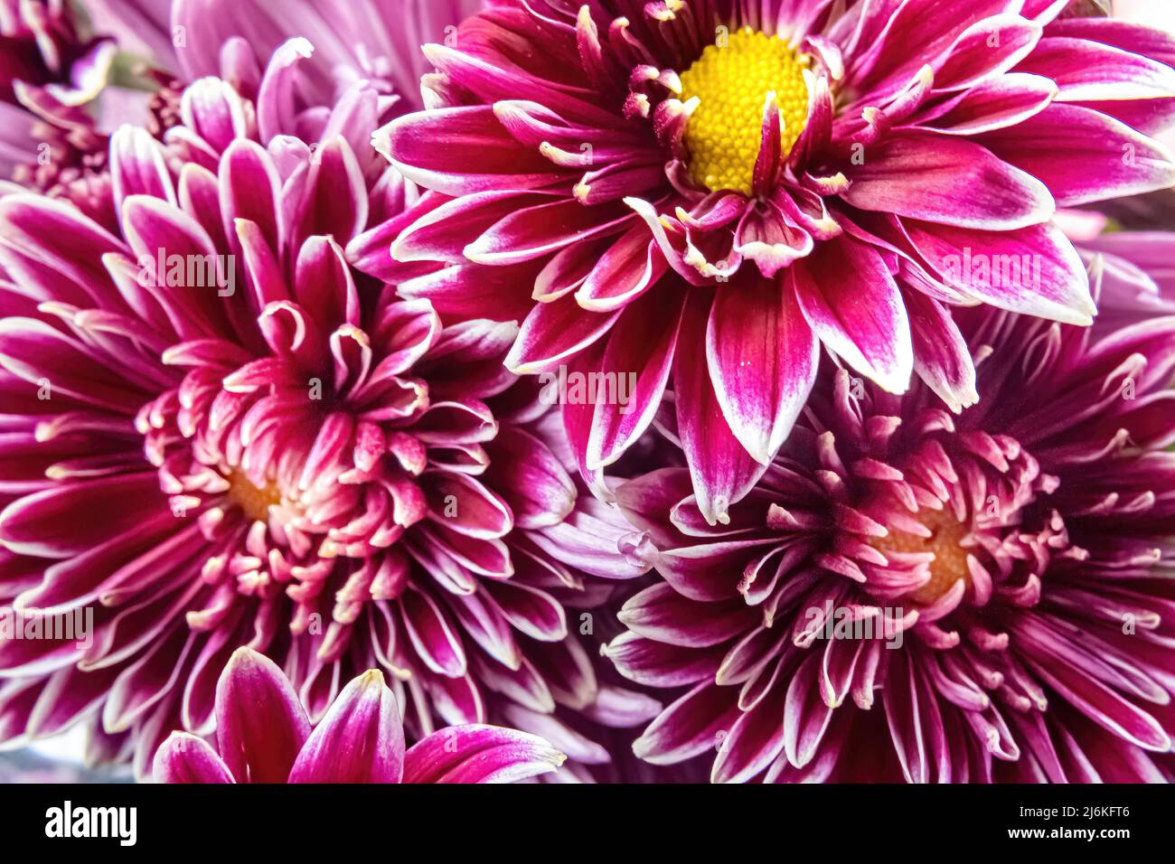 Outward pattern hi-res stock photography and images - Alamy