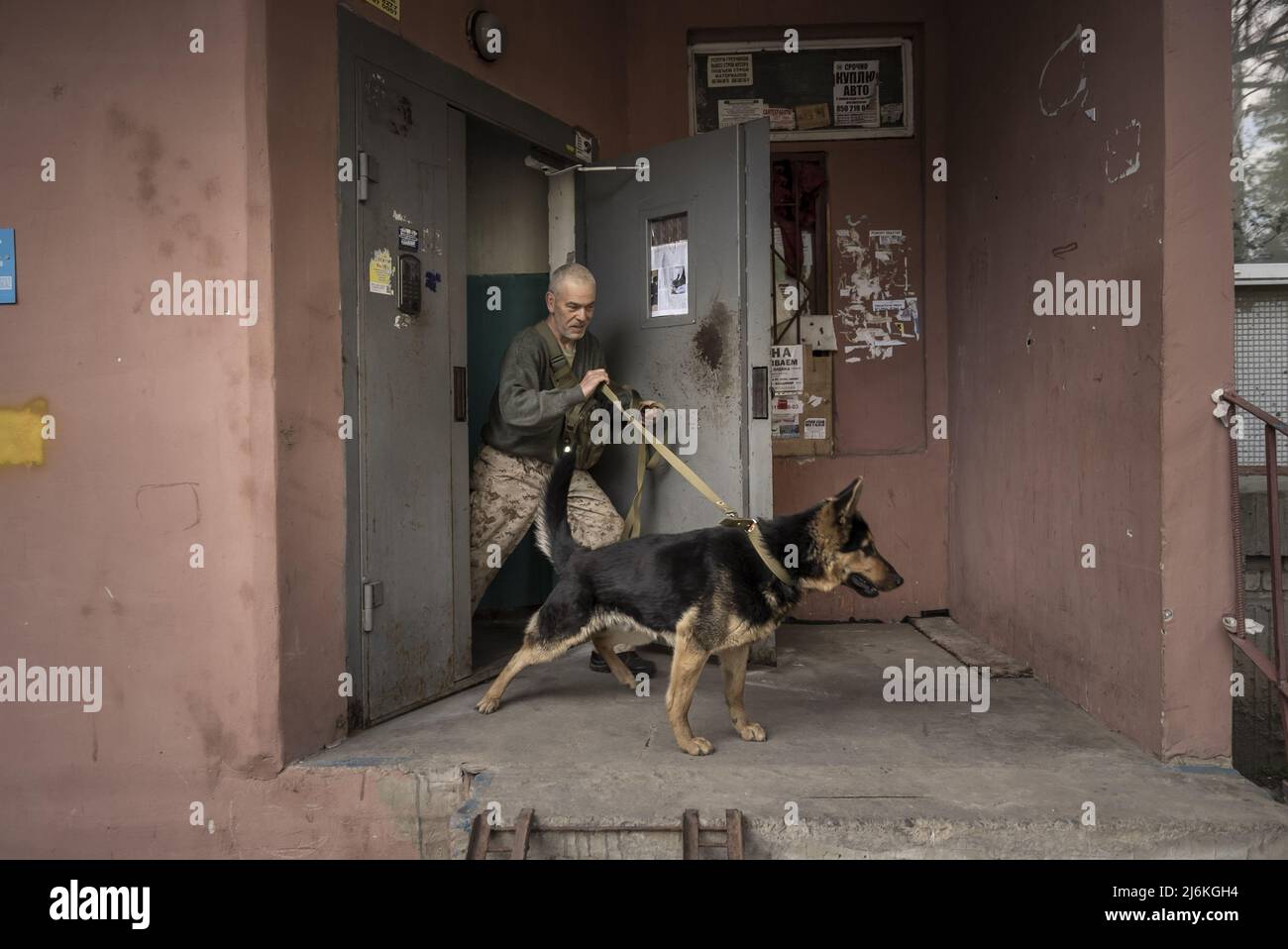 Can I Have A German Shepherd In A Apartment