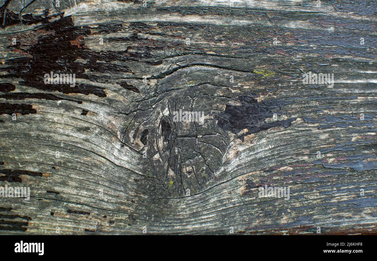 textura of an old, weather-damaged plank with paint remnants Stock Photo