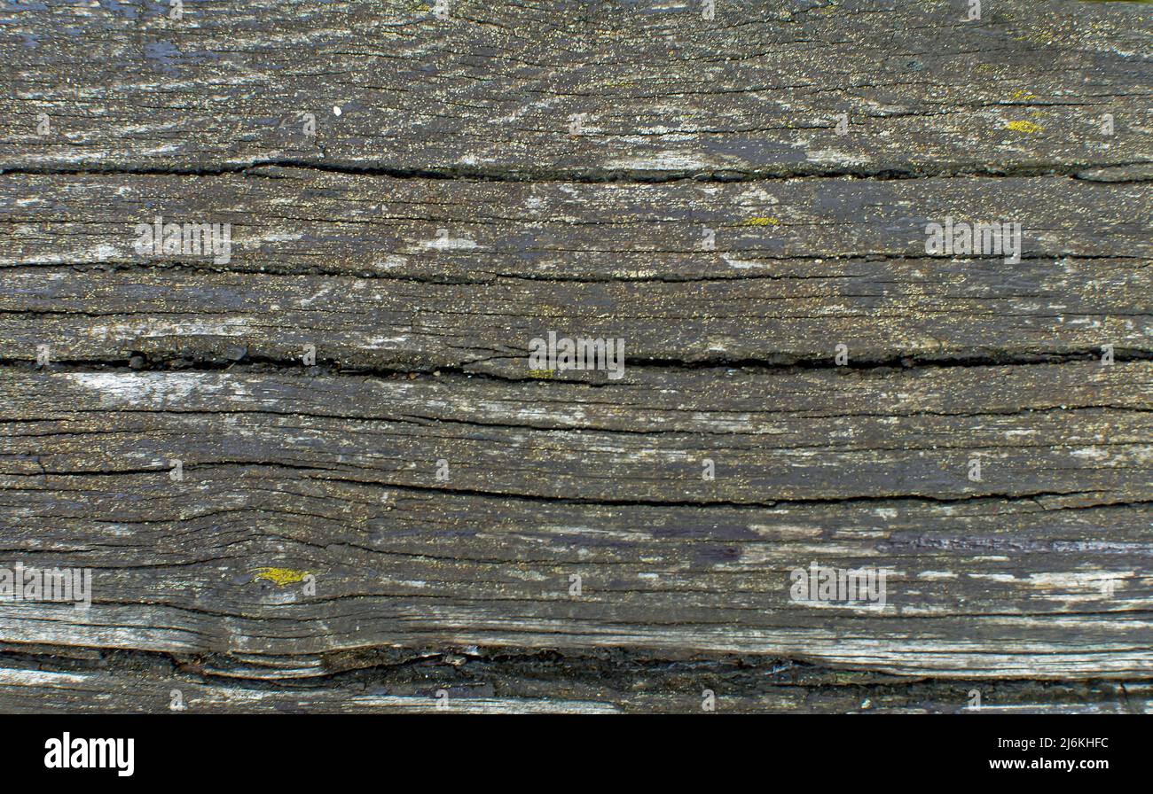 textura of an old, weather-damaged plank with paint remnants Stock Photo
