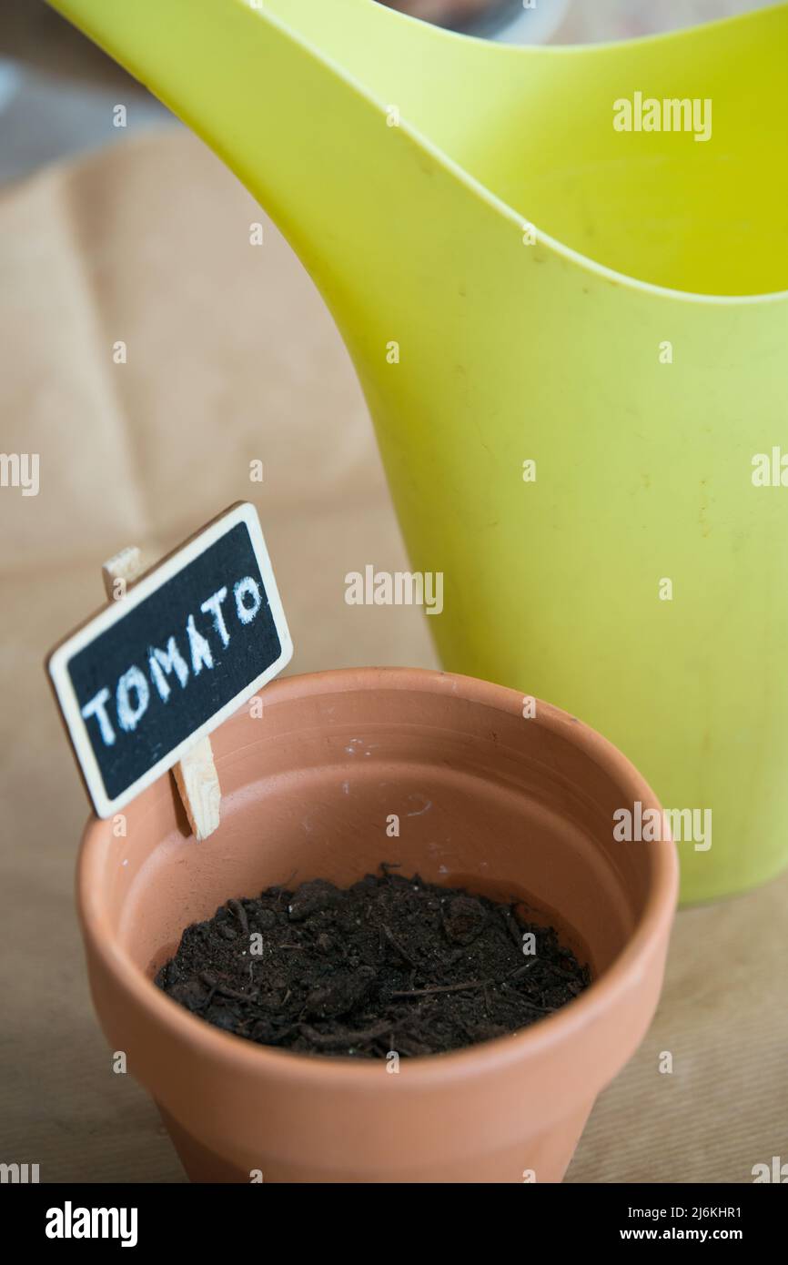 Small clay pot with tomato seeds to germinate. Green watering can behind. Stock Photo