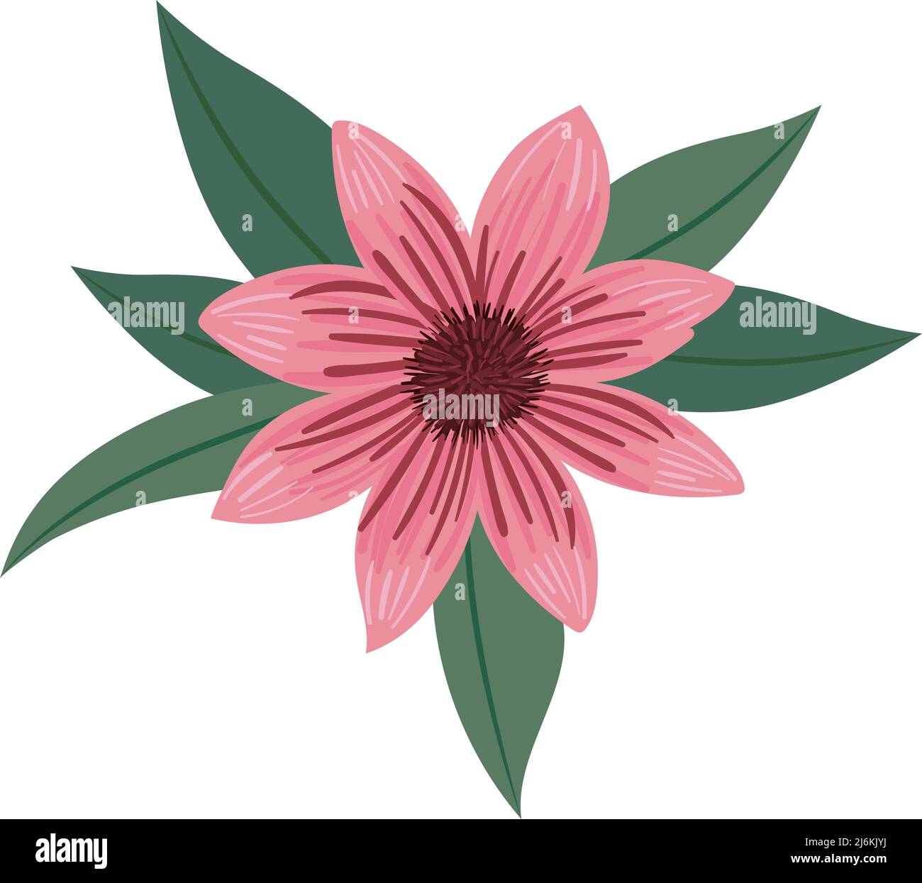 pink flower with leaves Stock Vector Image & Art - Alamy