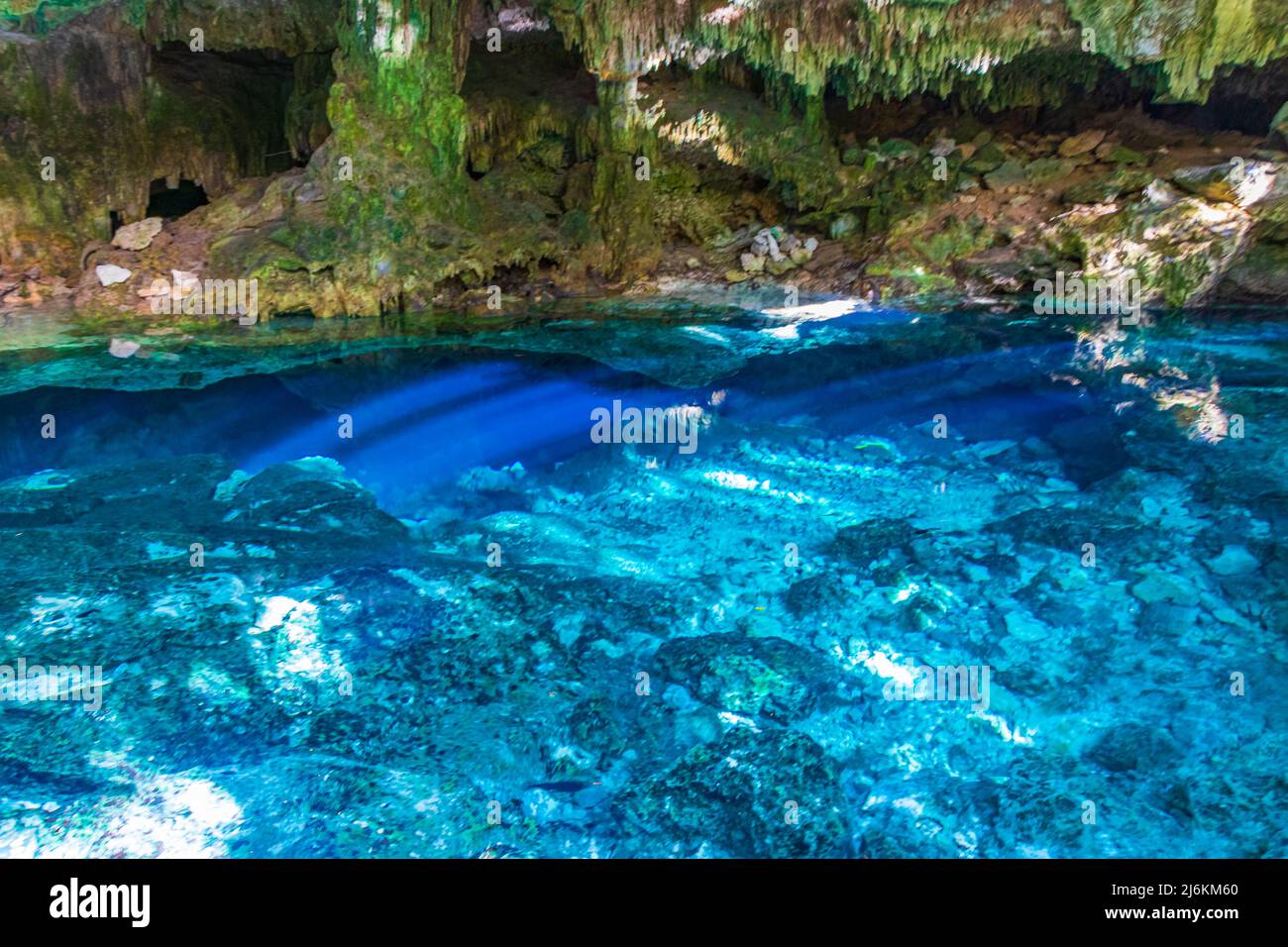 Blue Ha  Quintana Roo