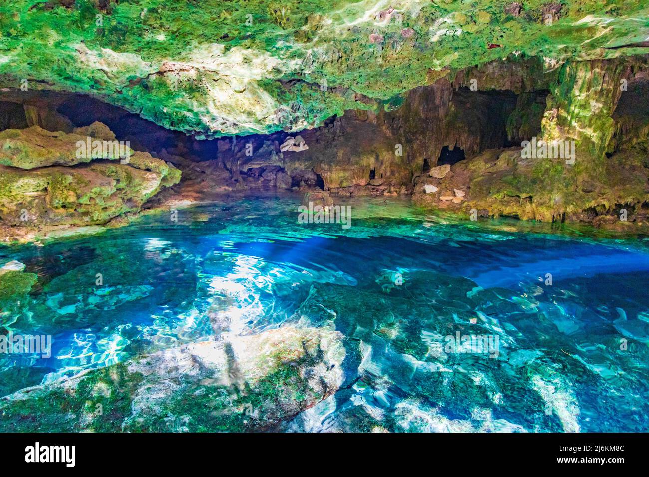 https://c8.alamy.com/comp/2J6KM8C/amazing-blue-turquoise-water-and-limestone-cave-sinkhole-cenote-tajma-ha-tajmaha-in-puerto-aventuras-quintana-roo-mexico-2J6KM8C.jpg
