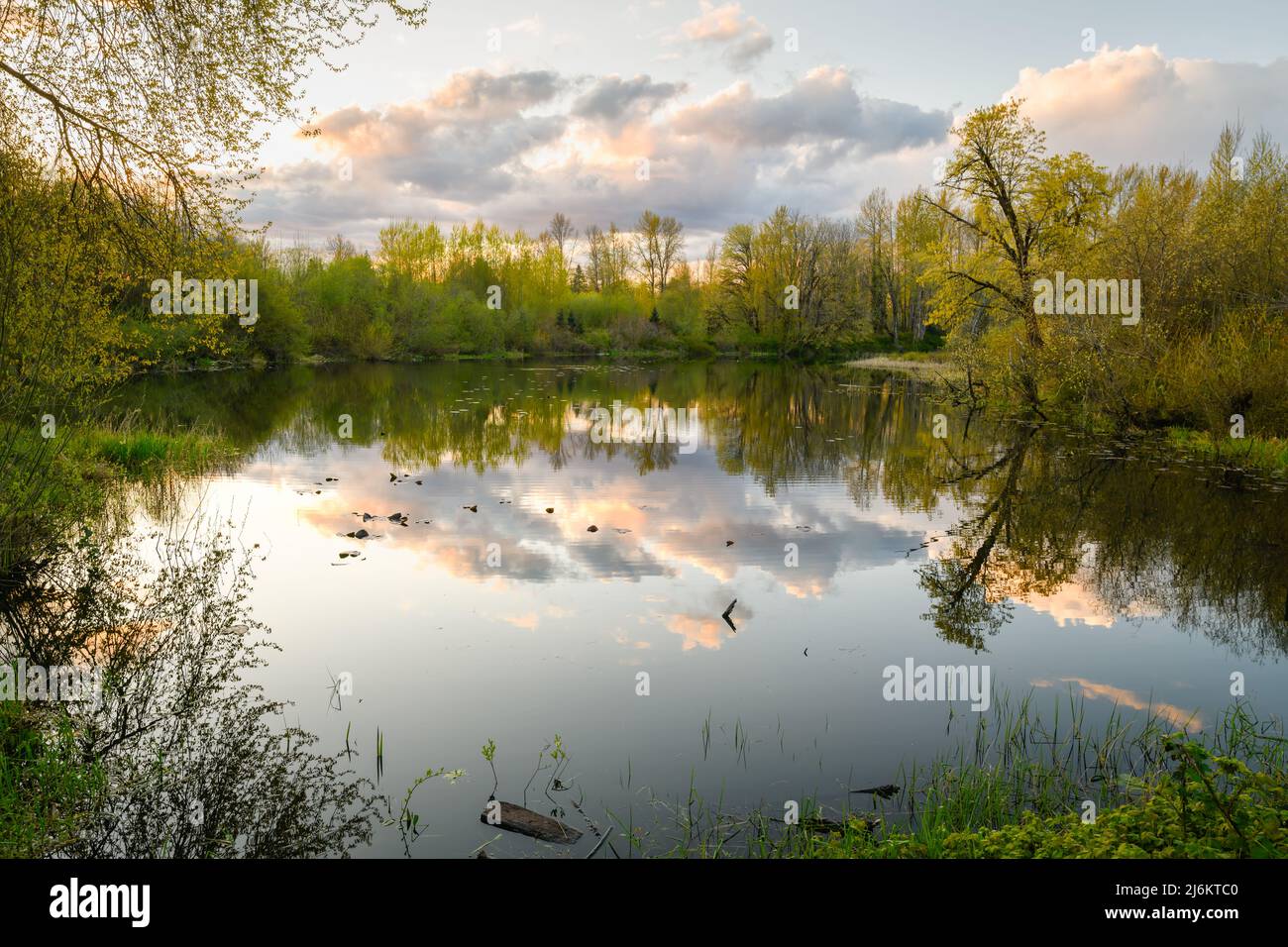 Peaceful pond at sunset in the idyllic Snoqualmie Valley near Seattle