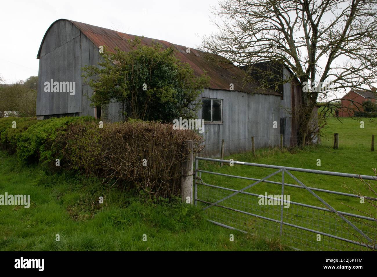Corrugated Iron Barn near Builth Wells, Powys, Wales, UK Stock Photo