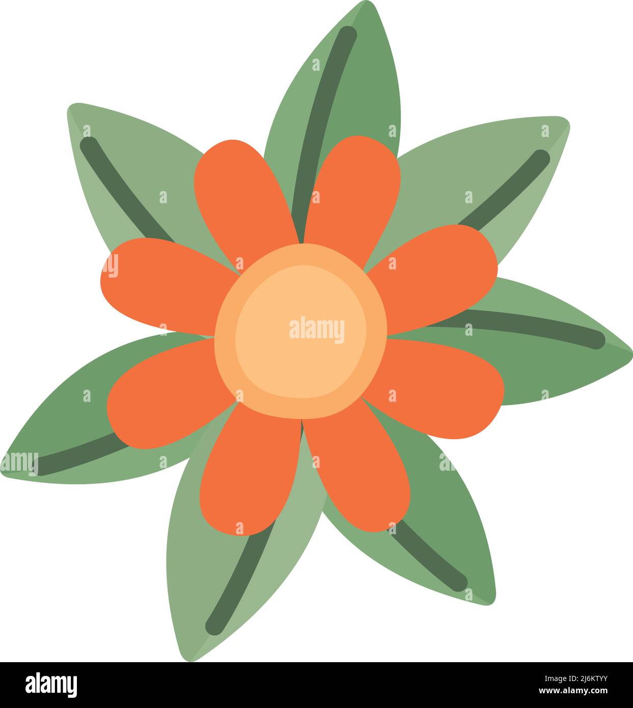 orange flower illustration Stock Vector Image & Art - Alamy