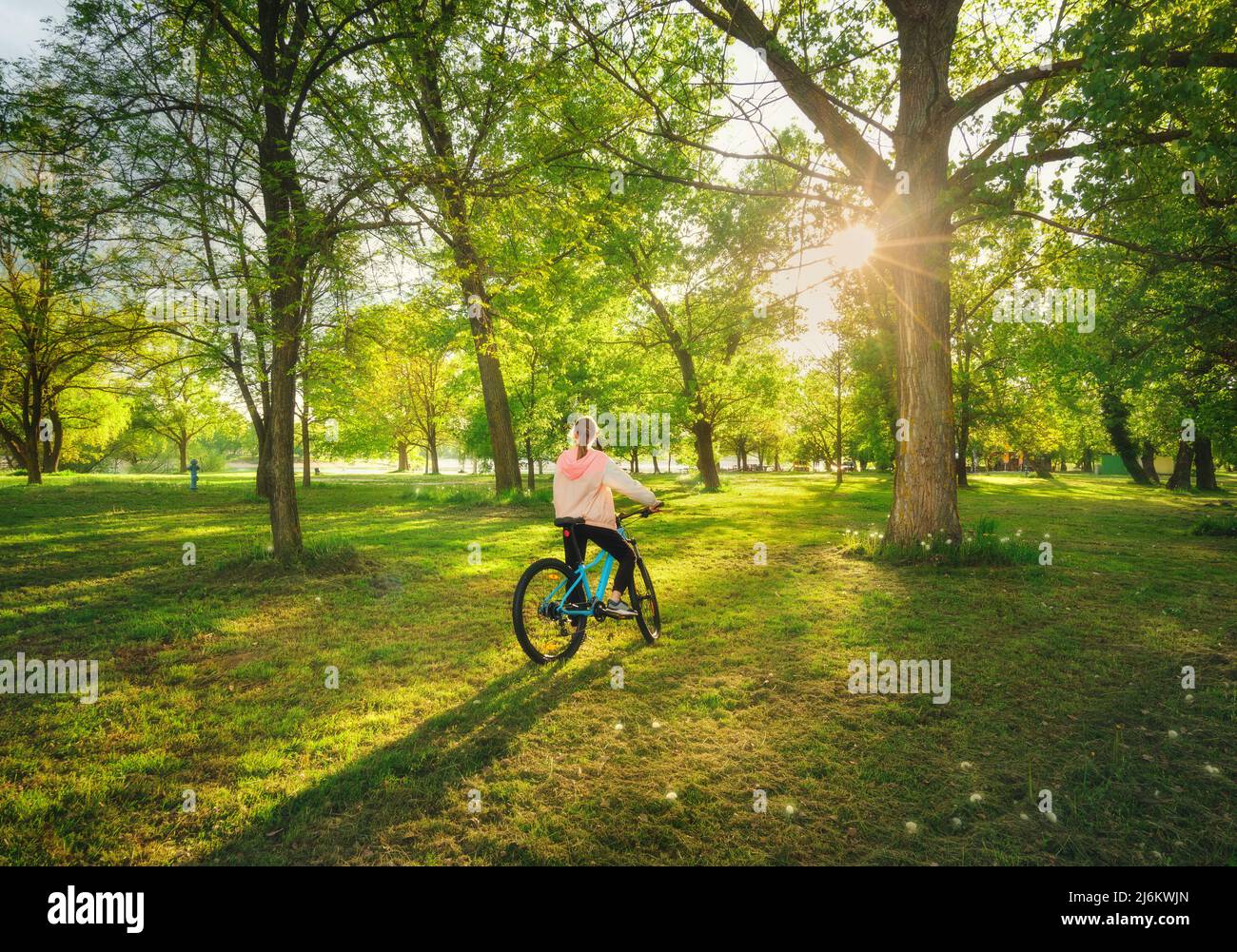 Woman riding a mountain bike near green trees at sunset in sprin Stock Photo