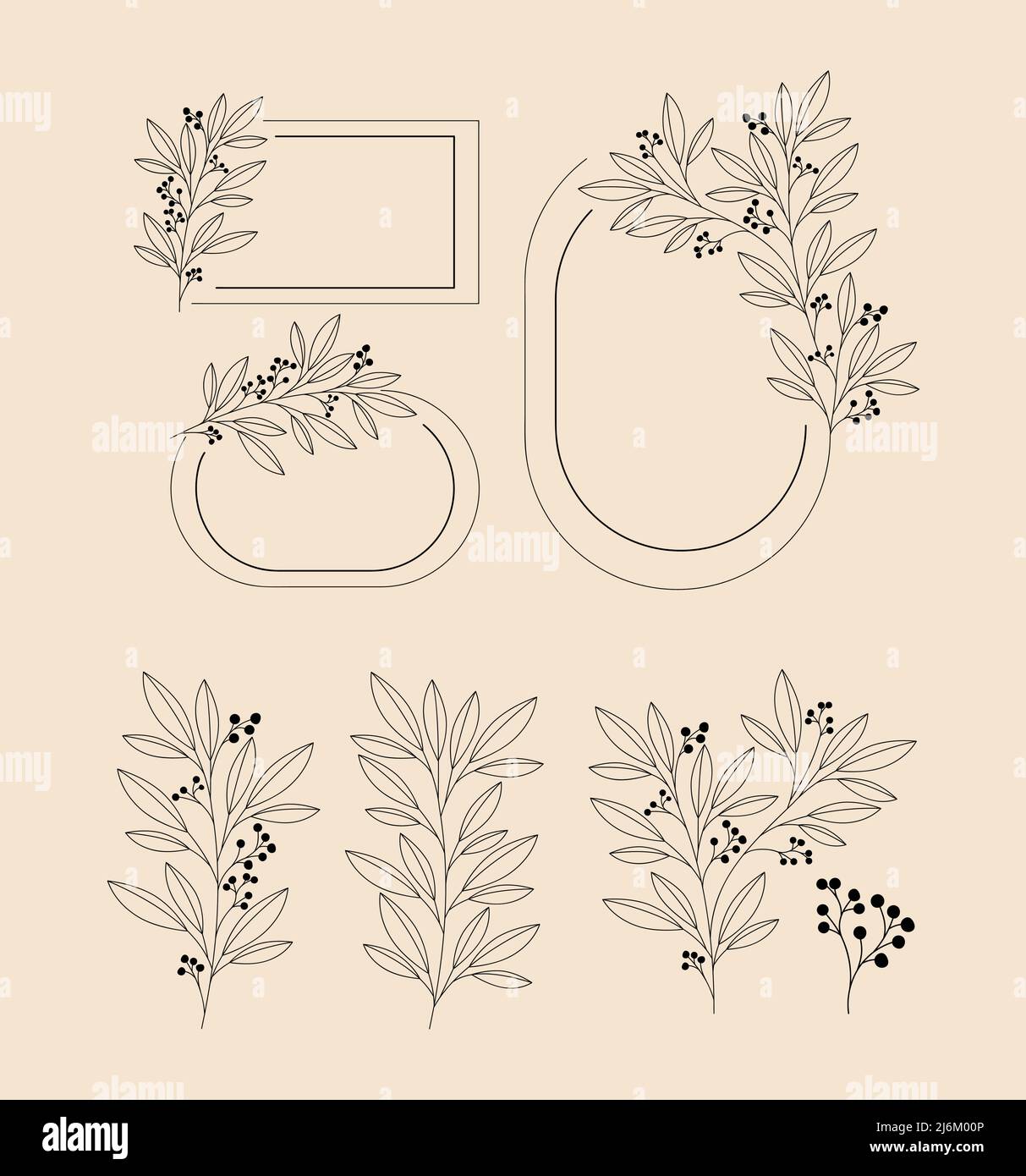 classical frames with branches Stock Vector Image & Art - Alamy