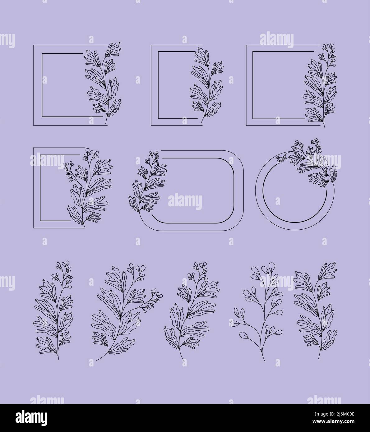luxury frames with branches Stock Vector Image & Art - Alamy