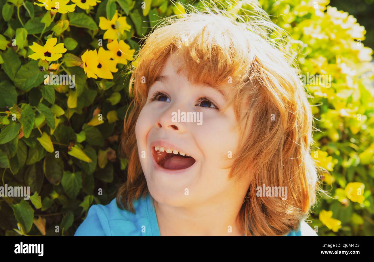 Excited Spring Spring excited surprised boy on blooming tree. Smiling kid outdoor ...