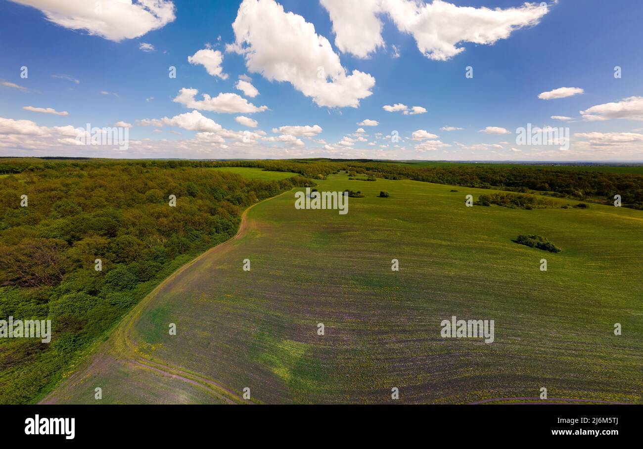 Aerial landscape view of green cultivated agricultural fields with ...