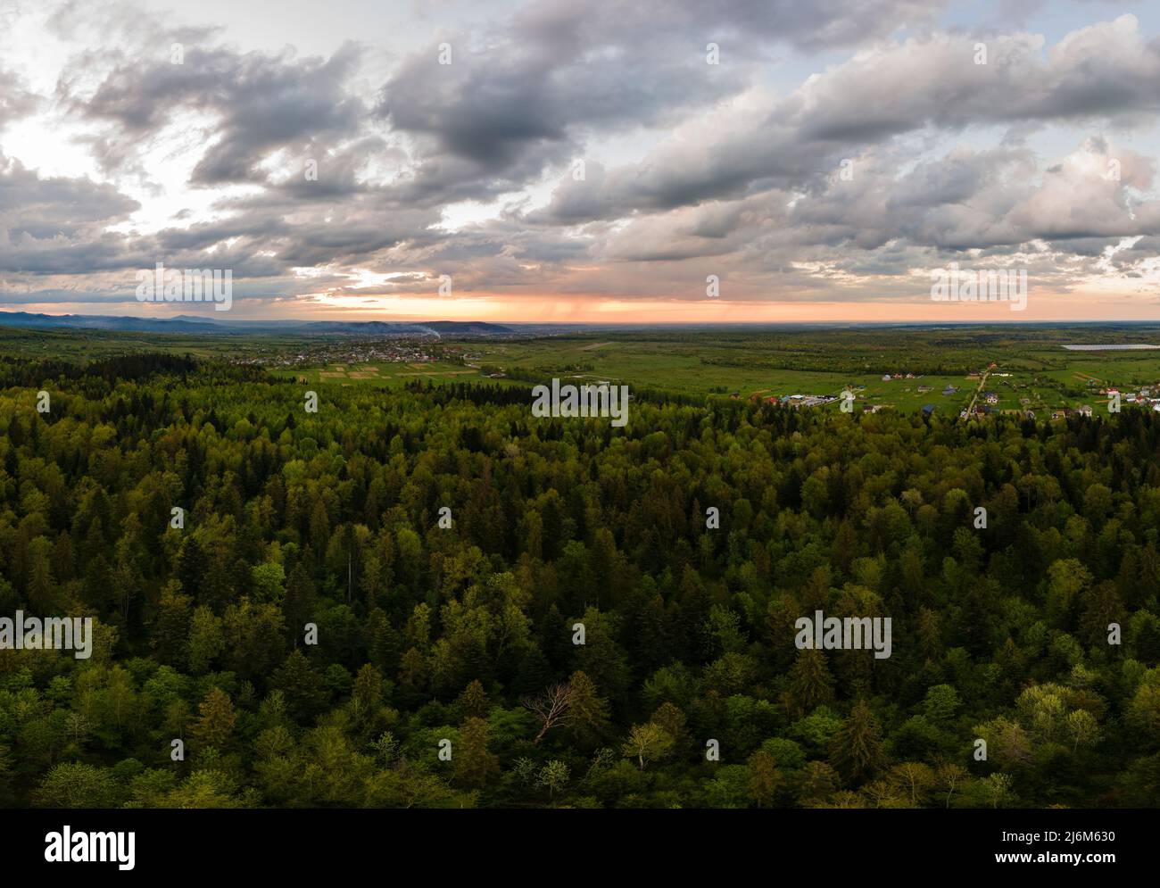 Aerial view mixed green forest hi-res stock photography and images - Alamy