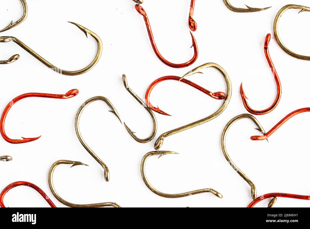 Close up fishing Cut Out Stock Images & Pictures - Alamy
