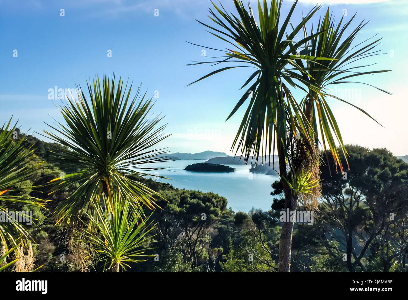 Looking through lush native bush and cabbage trees to the beautiful scenery of the Bay of Islands Stock Photo