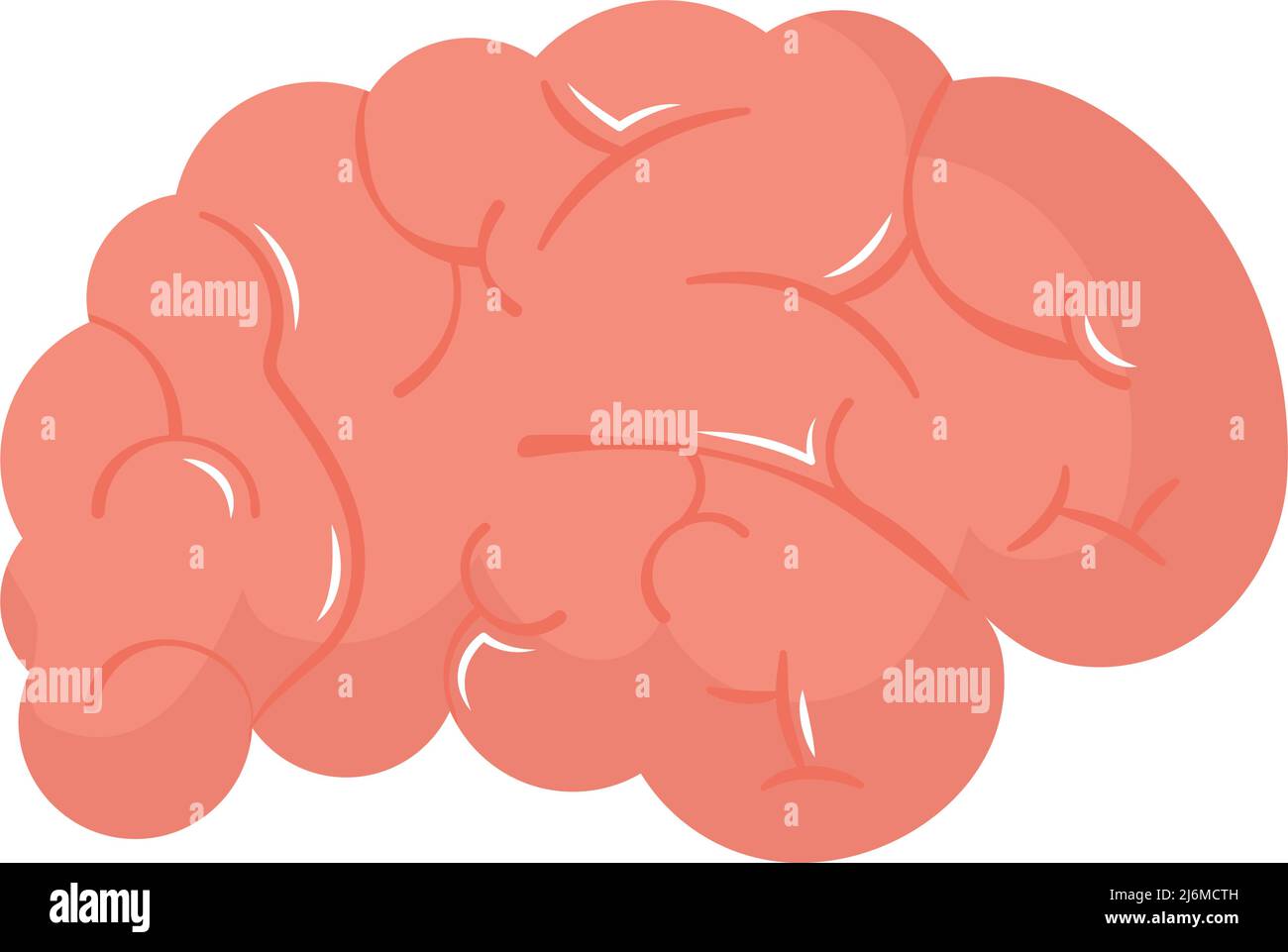 human brain illustration Stock Vector Image & Art - Alamy