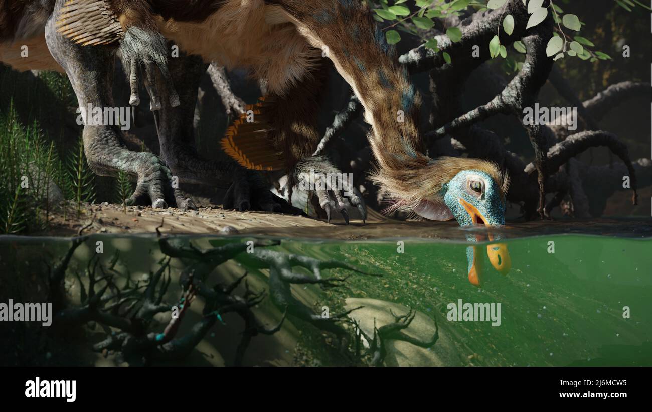 Gallimimus, feathered theropod dinosaur drinking at a waterhole Stock Photo