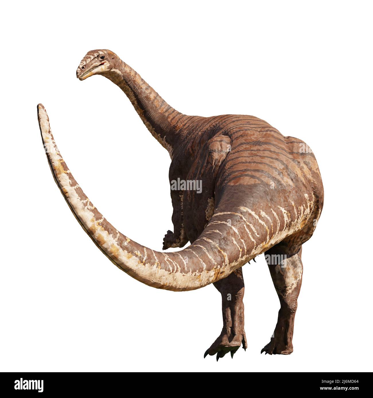 Plateosaurus, dinosaur from the Late Triassic epoch, isolated on white ...