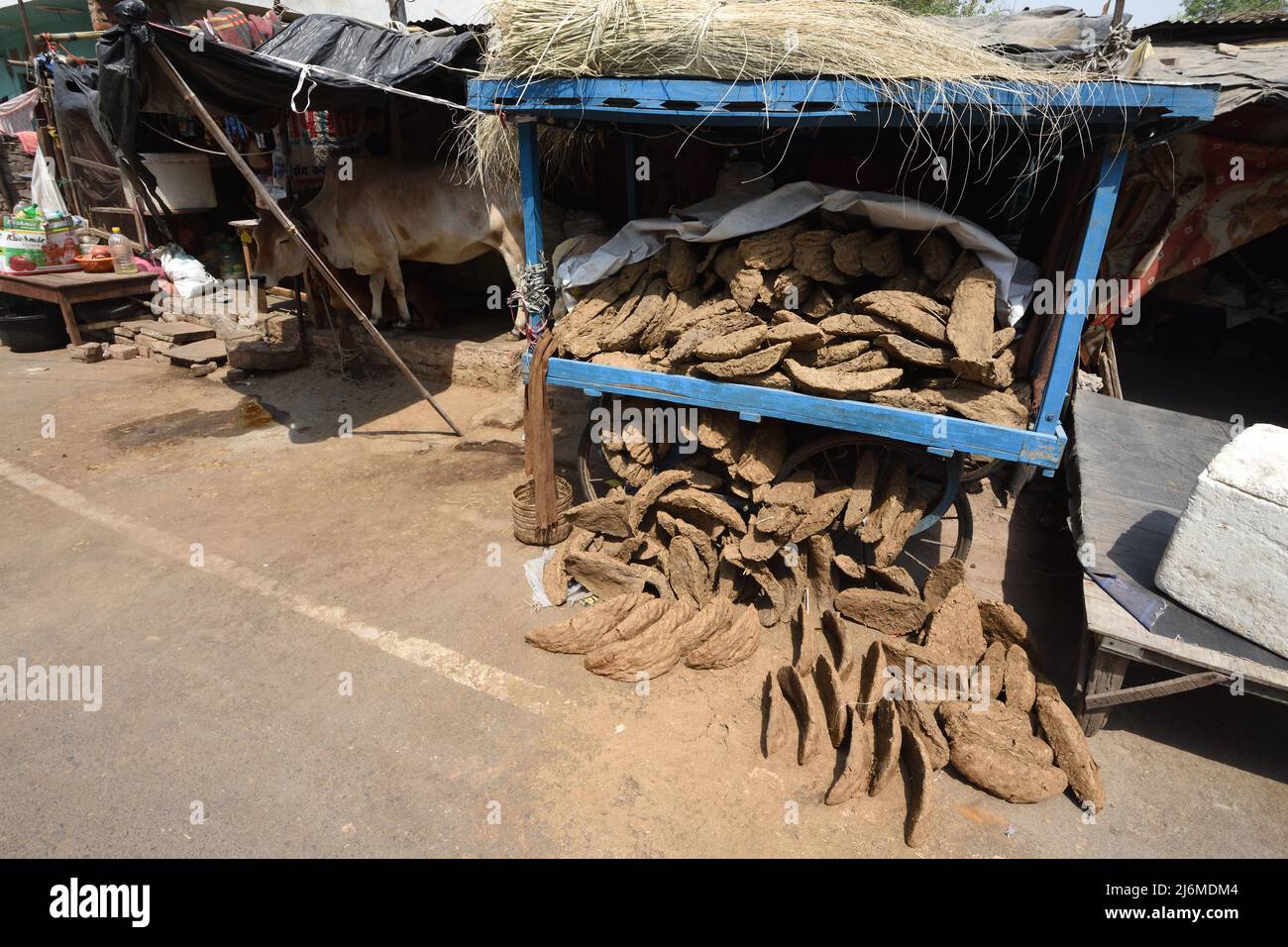Cow dung cake hi-res stock photography and images - Alamy