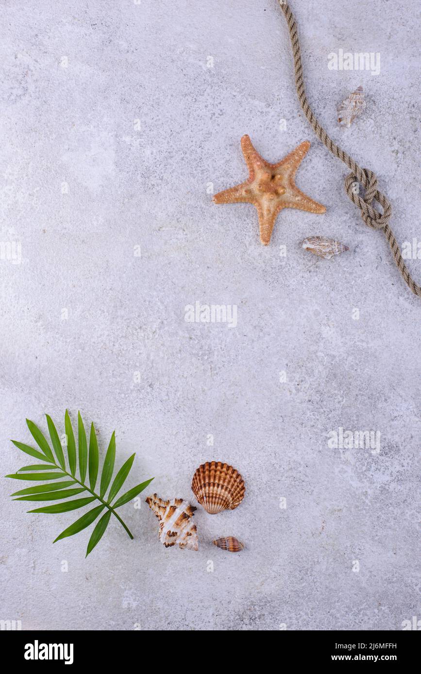Summer nautical marine background with shell Stock Photo - Alamy Summer nautical marine background with shell Stock Photo - Alamy