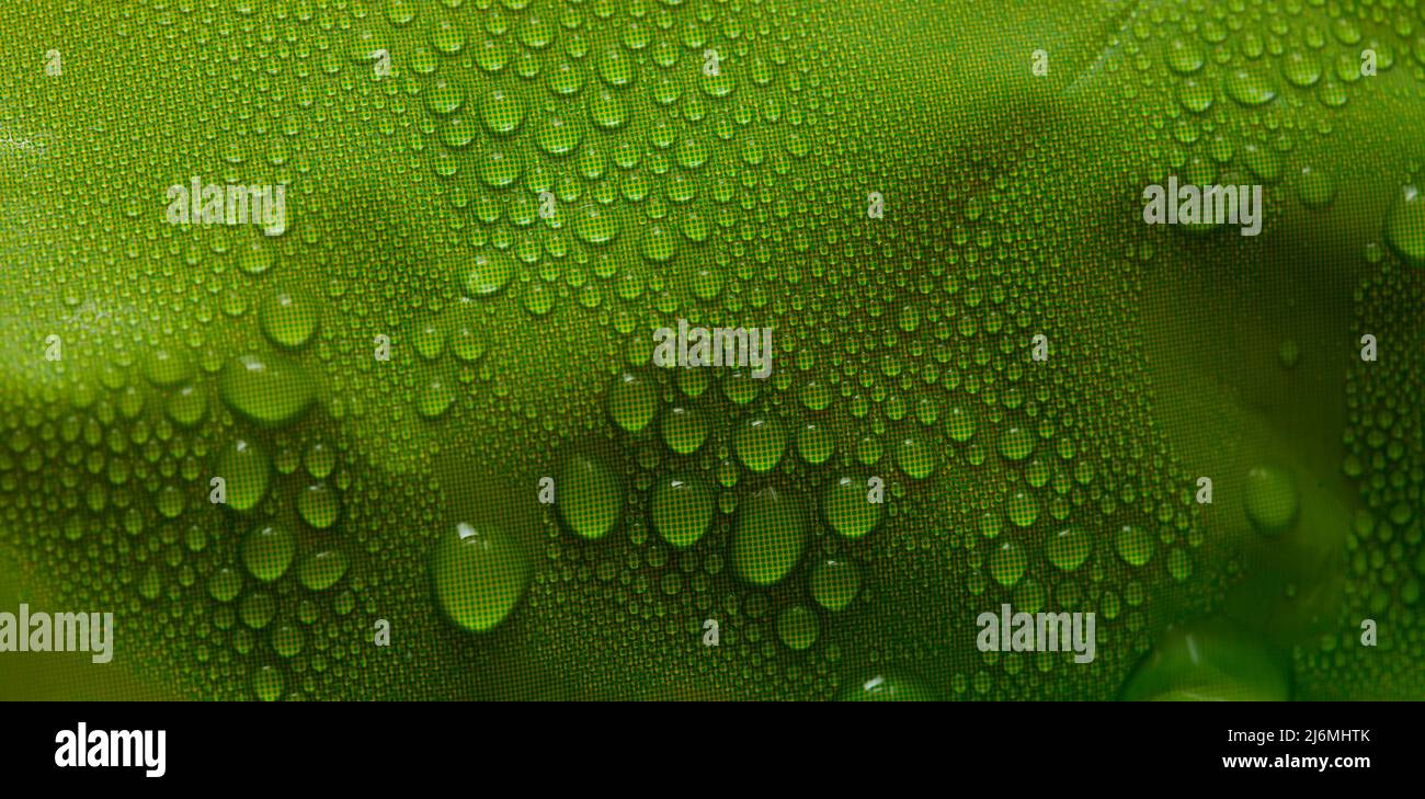 Macro background with water droplets condensation pattern on plastic surface Stock Photo