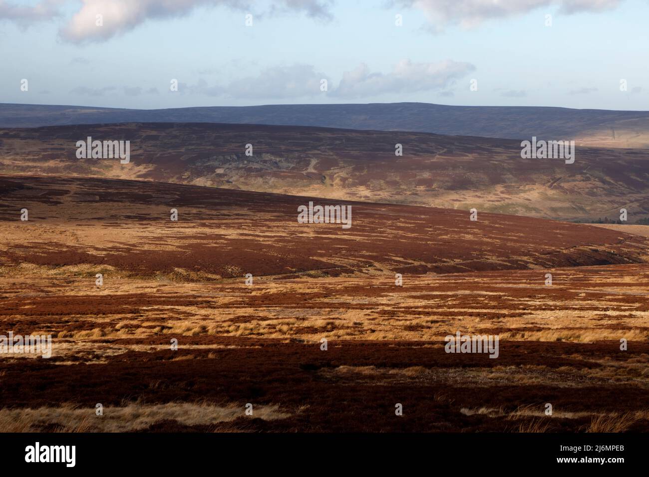 Bollihope Common in the Durham Dales, County Durham, England, UK Stock Photo