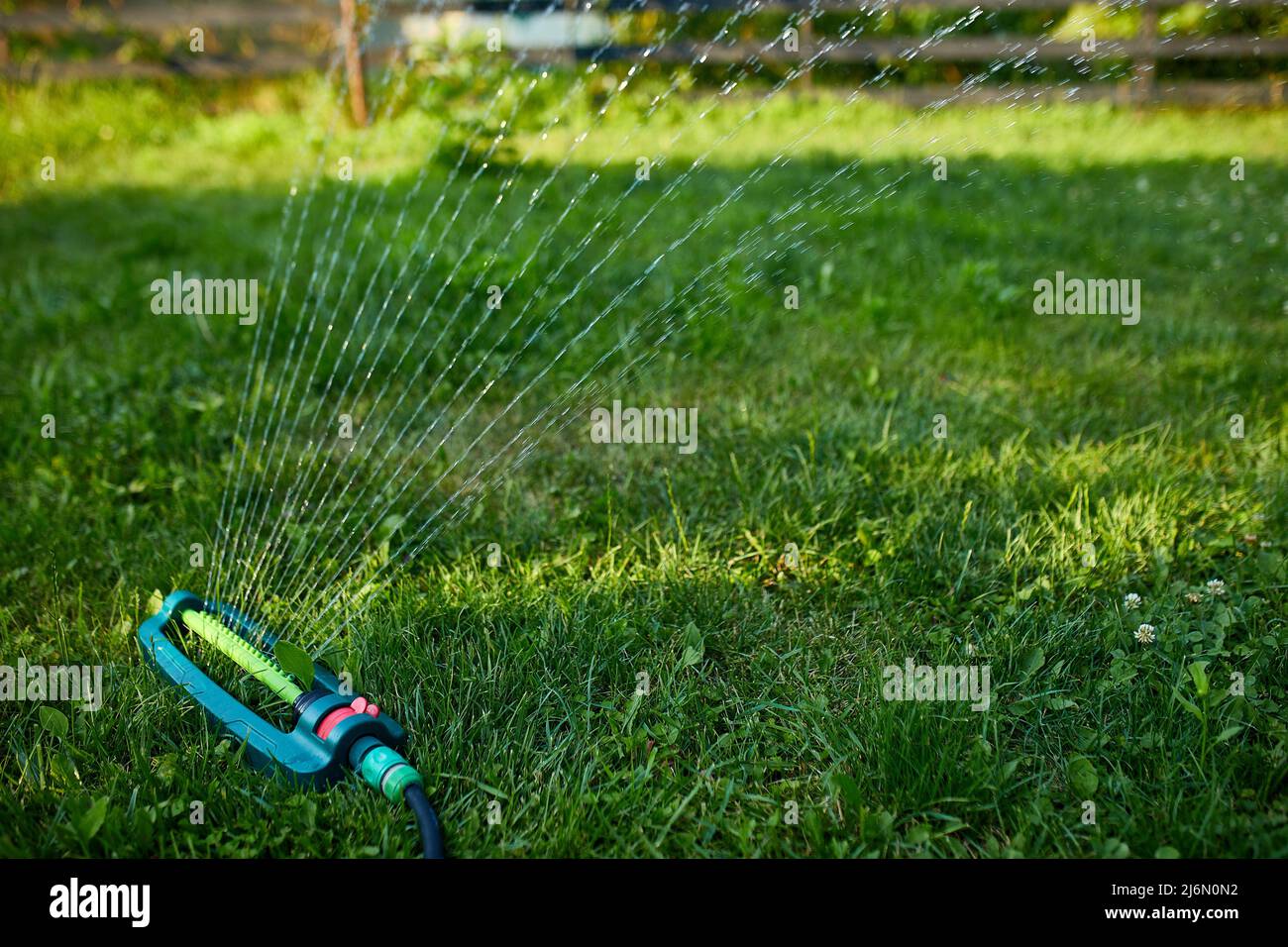 Oscillating garden sprinkler spraying water over green grass at home