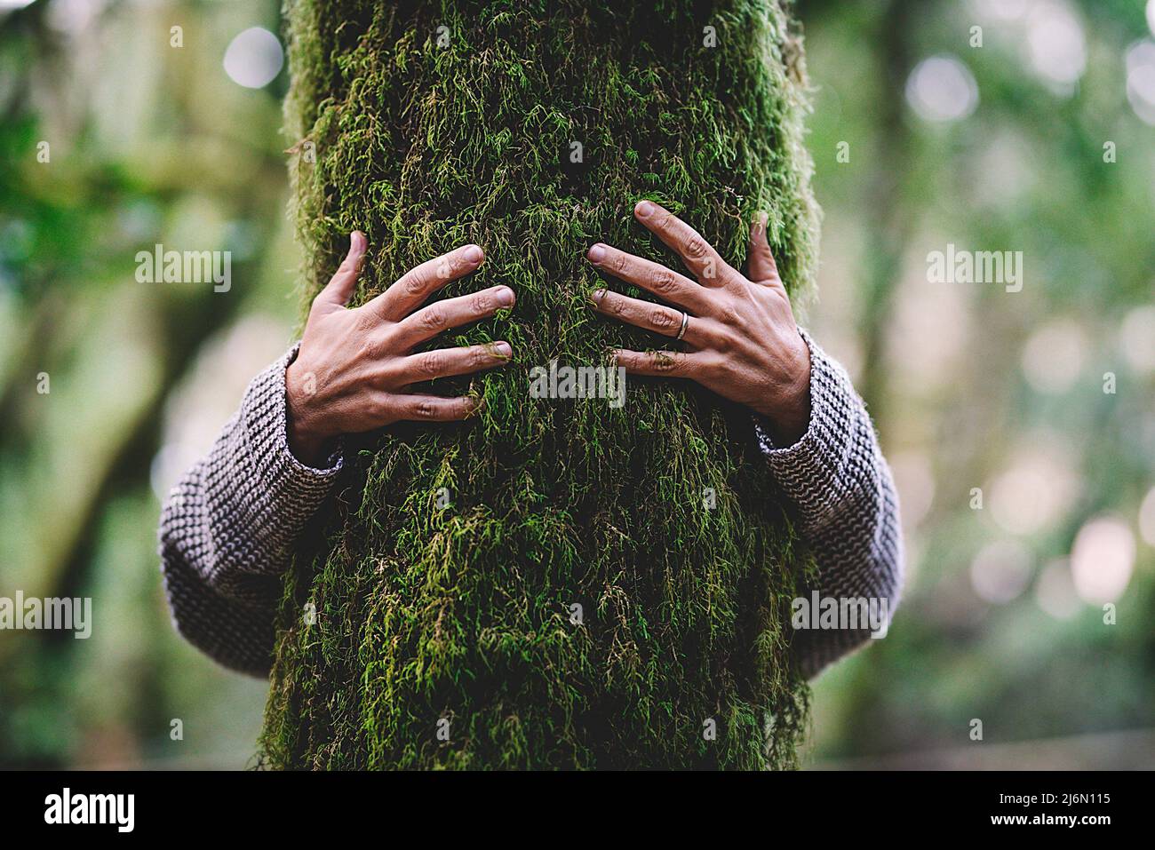 Nature lover hugging trunk tree with green musk in tropical woods forest. Green natural background. Concept of people love nature and protect from Stock Photo