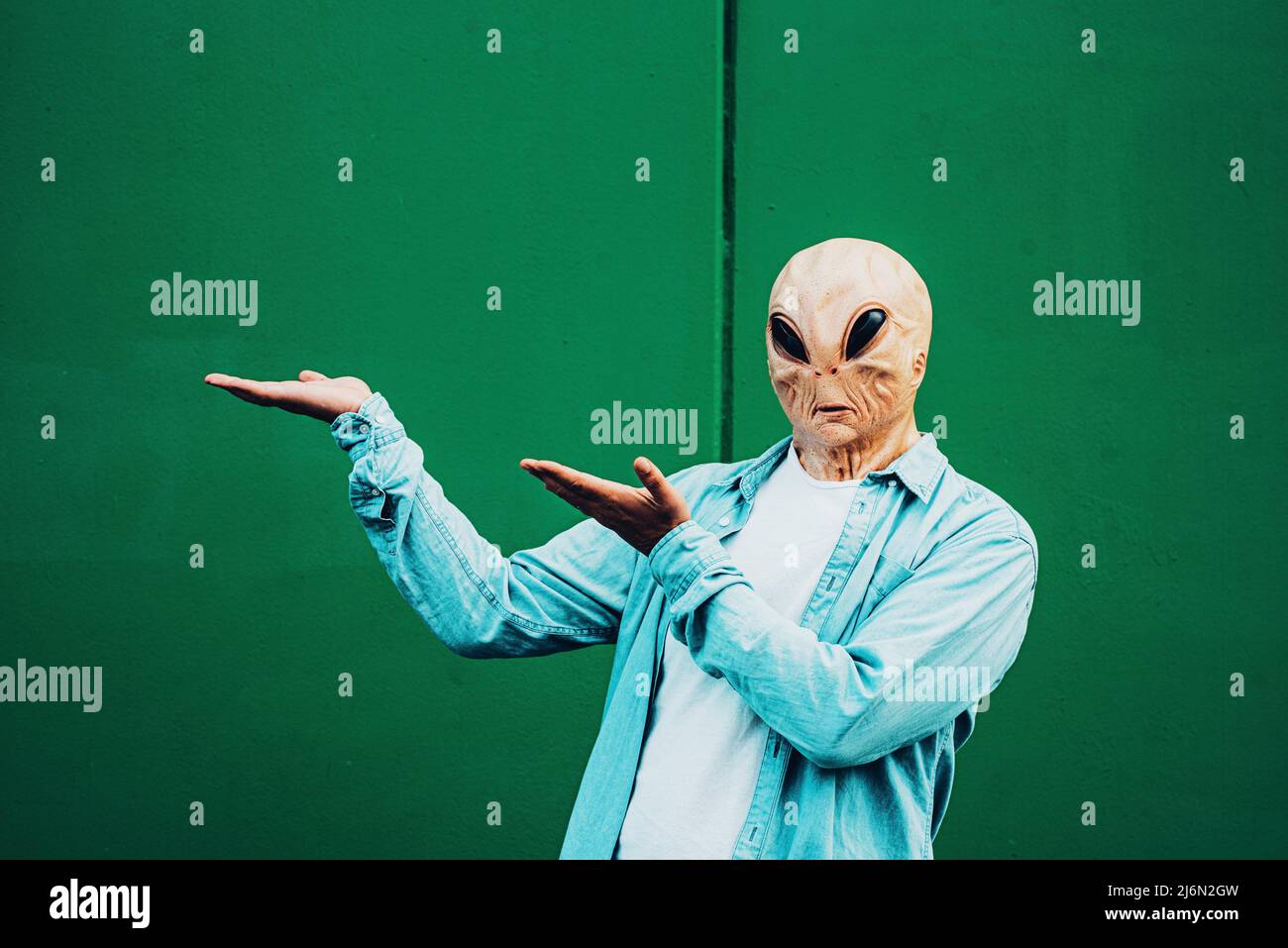 Portrait of ufo alien extraterrestrial mask with denim casual clothing like a human and green wall in background for copyspace text. Stock Photo