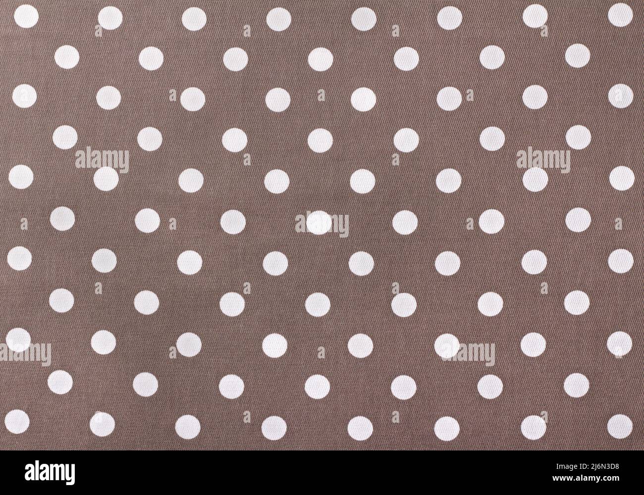 Gray brown polka white dot fabric, textile background, texture Stock Photo