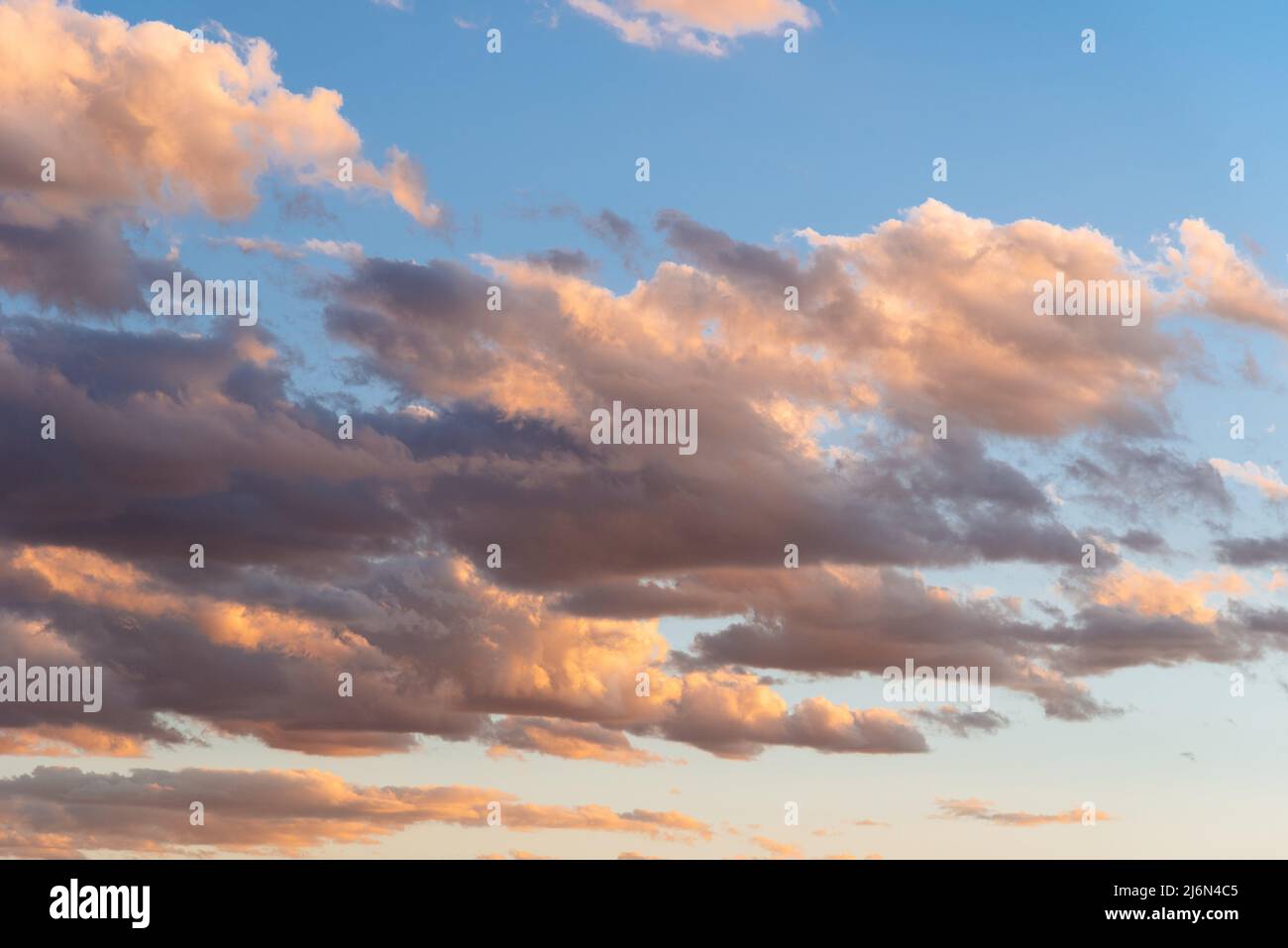 Fluffy purple clouds on blue sky at dramatic sunset. Stock Photo