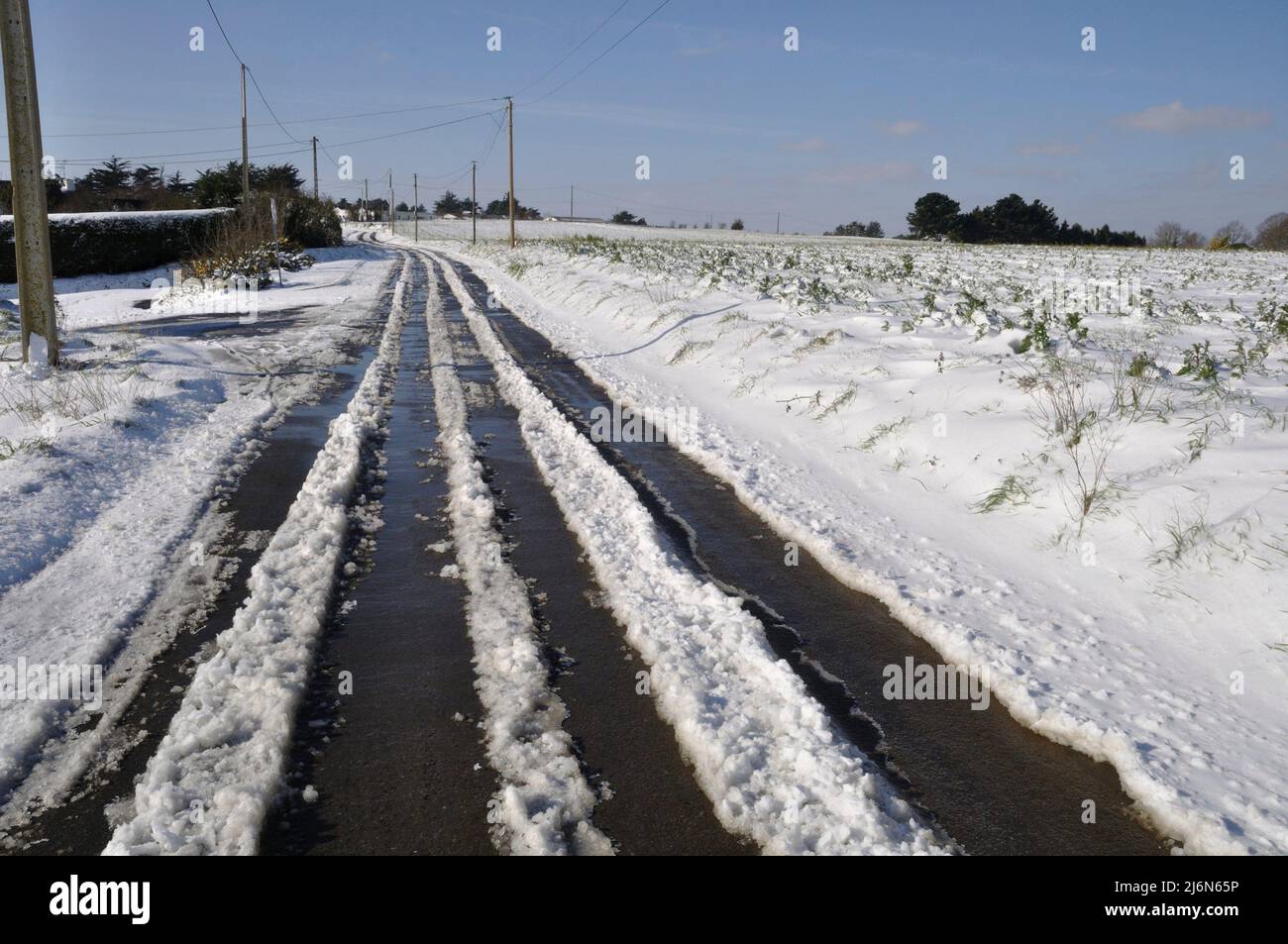 Path under the snow in Brittany Stock Photo Alamy