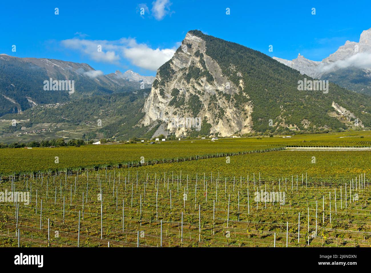 The Ardeve mountain peak towers over the Leytron wine region, Leytron, Valais, Switzerland Stock Photo