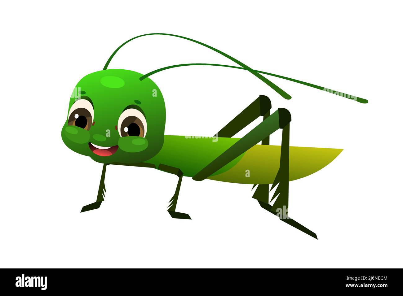 Green grasshopper with long mustache. Wildlife object. Little funny insect.  Cute cartoon style. Isolated on white background. Vector Stock Vector Image  & Art - Alamy