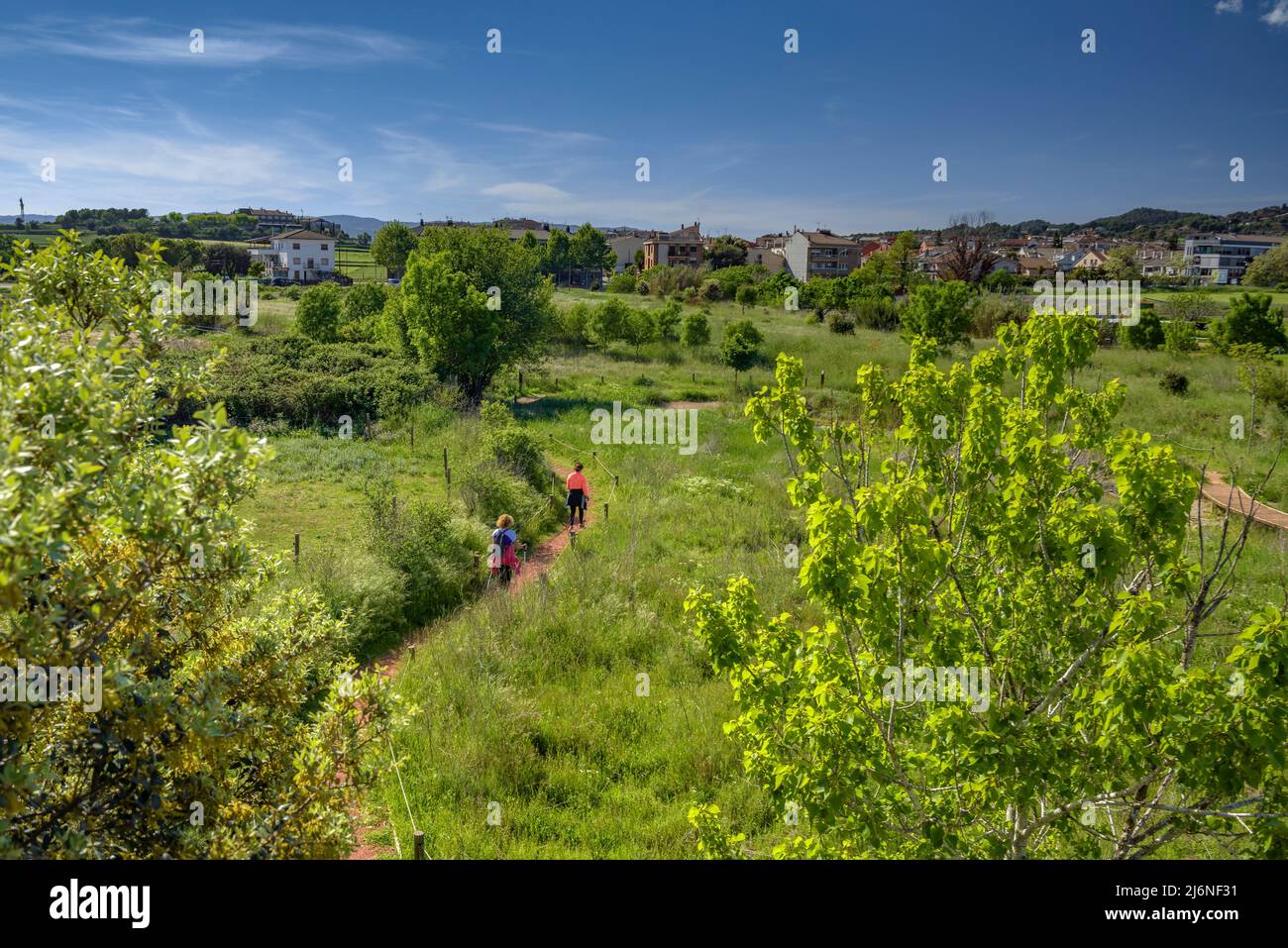 Bòbila de Santpedor wetland in spring (Bages, Barcelona, Catalonia, Spain) ESP: Humedal de la Bòbila de Santpedor en primavera (Barcelona, España) Stock Photo