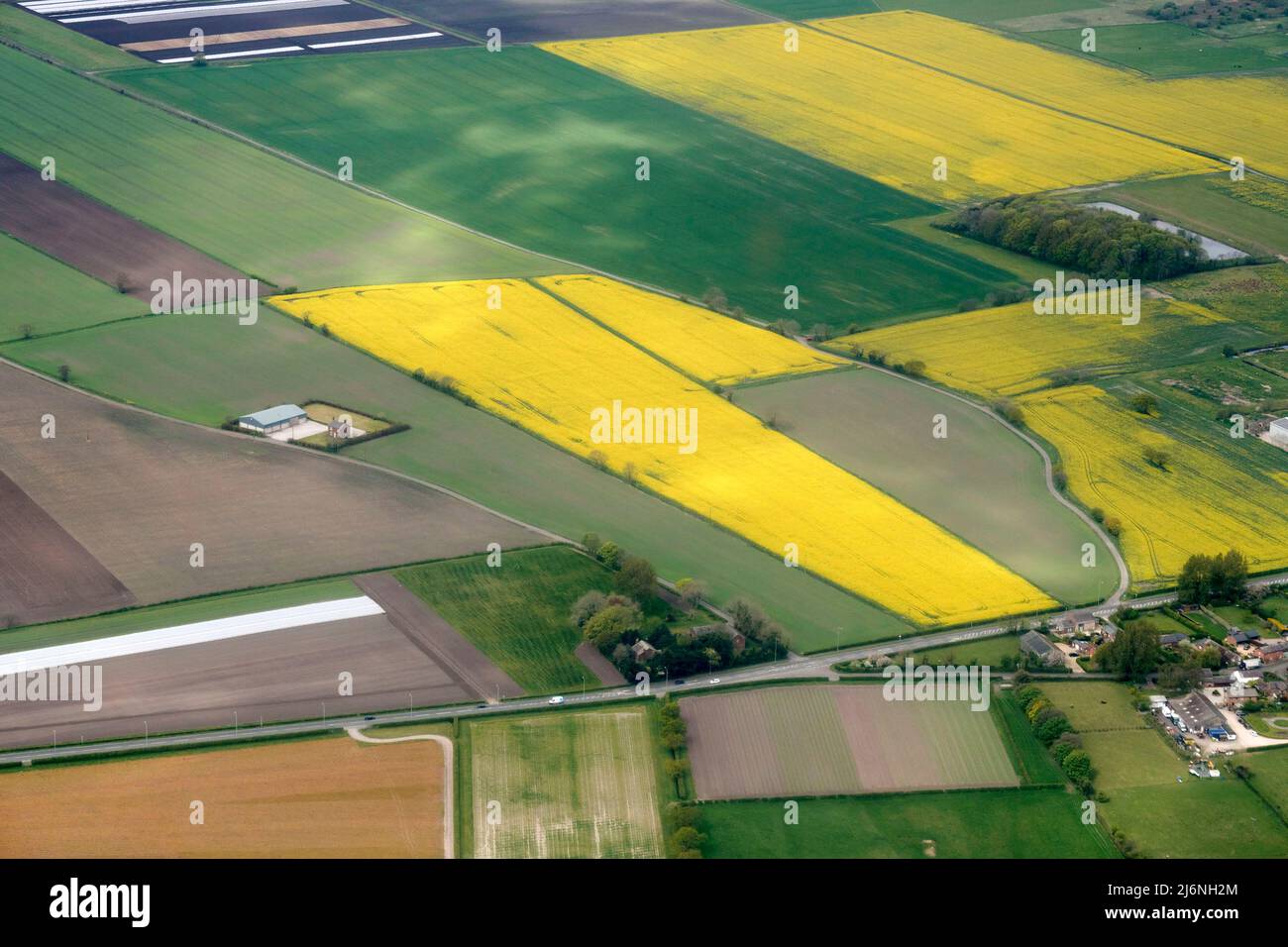 An aerial view of fields of Rape Seed oil ripening in the spring, north west England, UK Stock Photo