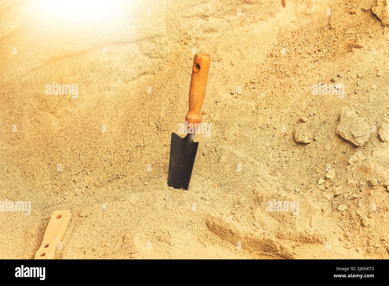Shovel in the sand.Skeleton and archaeological tools.Digging for