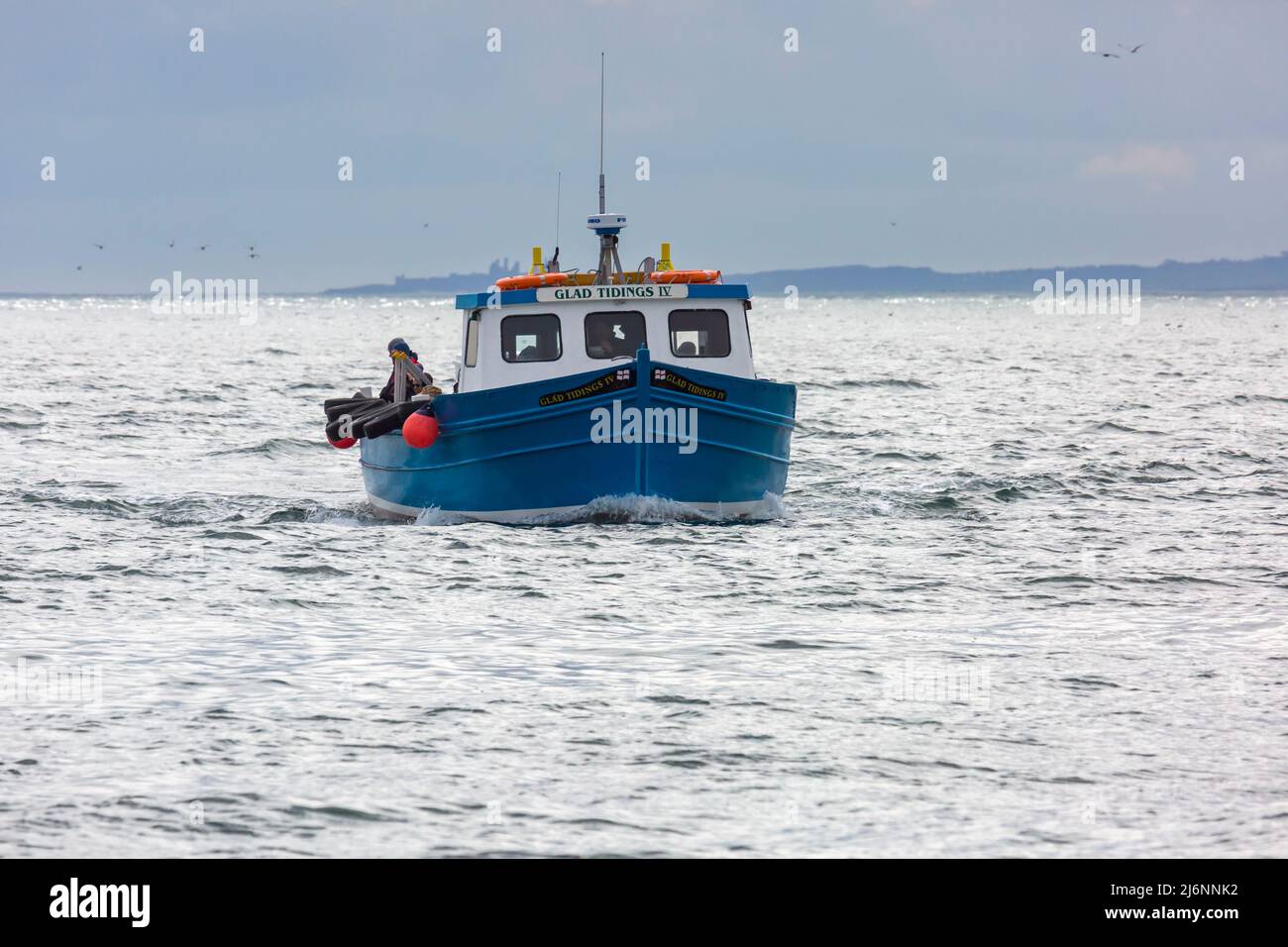 Tourists take a boat ride around the Farne Islands onboard Glad Tidings IV ferry boat to see the birds and seals at Northumberland, UK in April Stock Photo