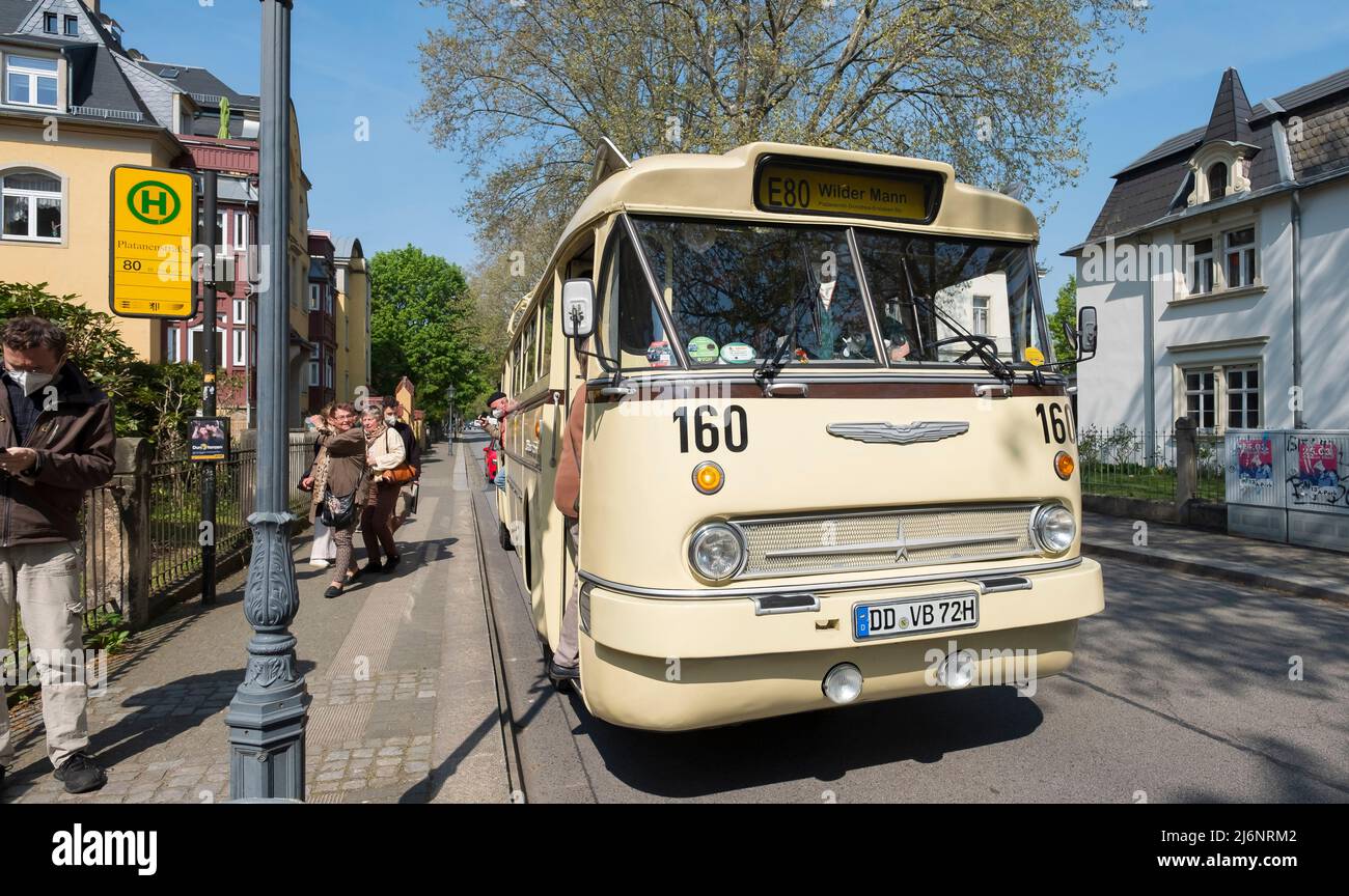 03 May 2022, Saxony, Dresden: An 'Ikarus 66' bus pulls up to a stop. The bus was built in the Hungarian Ikarus factories in 1972, has 190 hp and was on regular service in Dresden until 1985. A total of 3 historic buses of the Historische Kraftfahrzeuge des Dresdner Nahverkehrs e. V. are on the road in Dresden this week on the occasion of the 20th anniversary of the association. Photo: Matthias Rietschel/dpa-Zentralbild/dpa Stock Photo