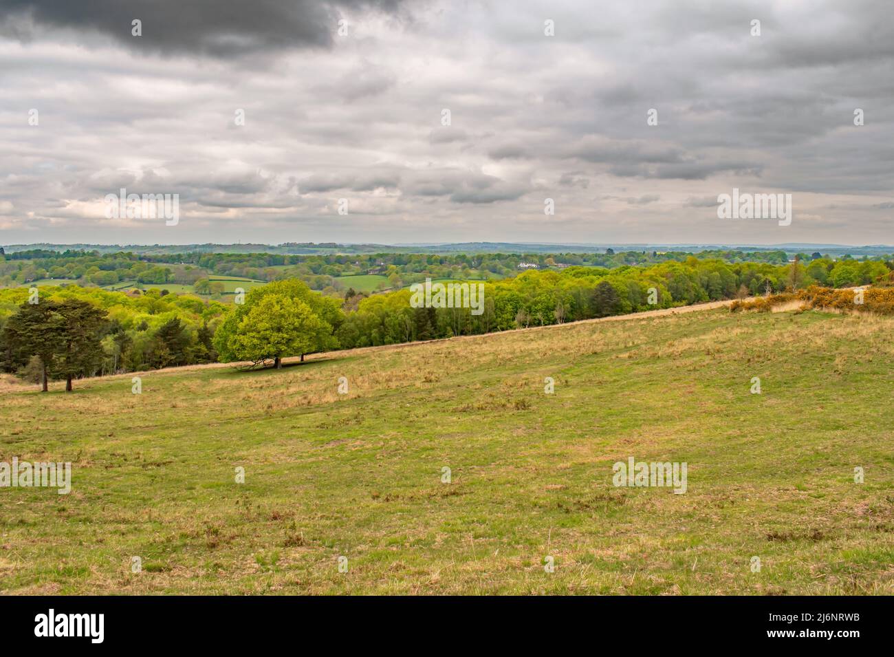 Ashdown formation hi-res stock photography and images - Alamy