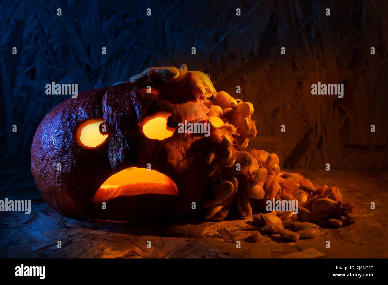 Funny vomiting carved halloween pumpkin. Stock Photo