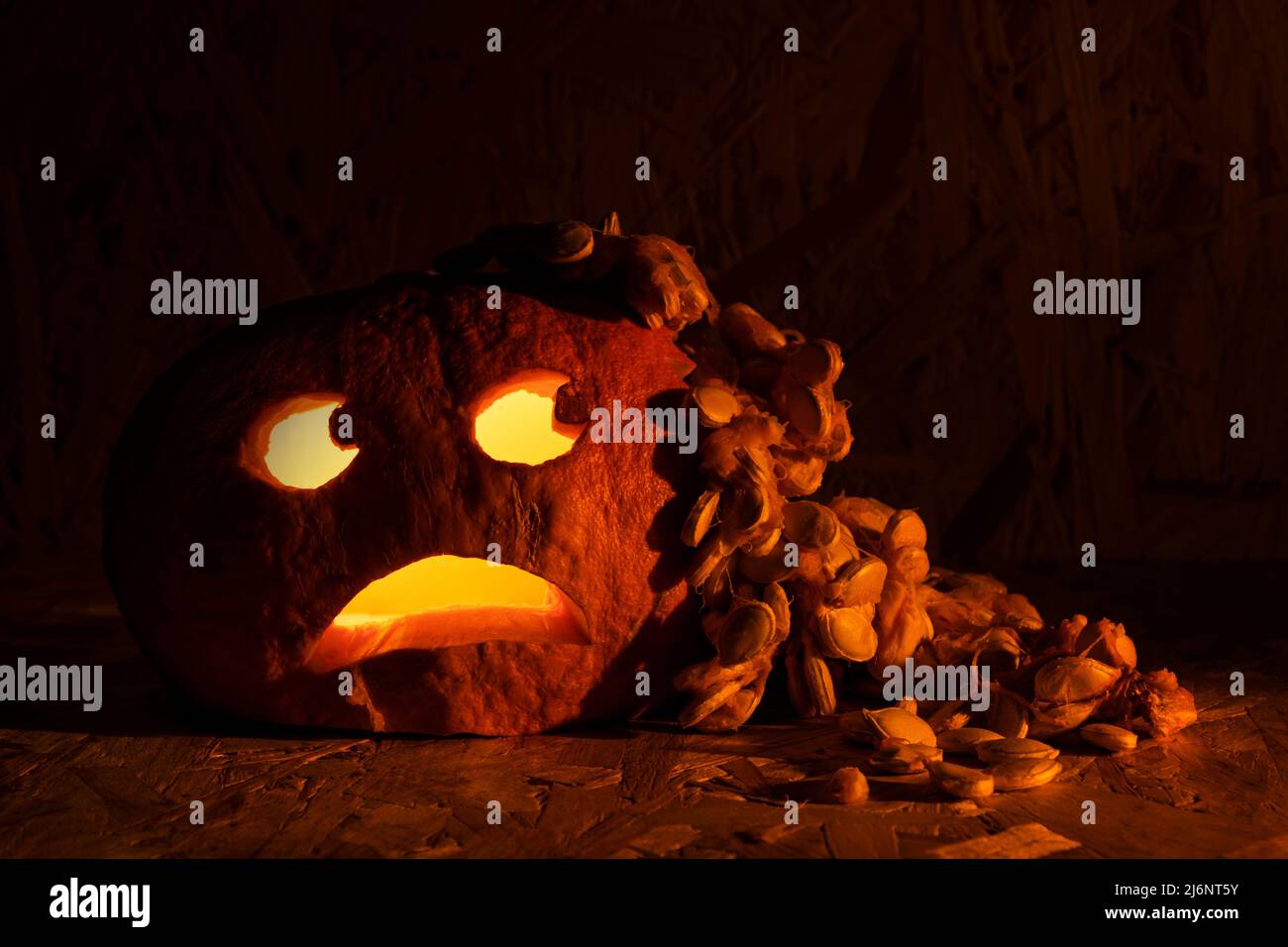 Funny vomiting carved halloween pumpkin. Stock Photo