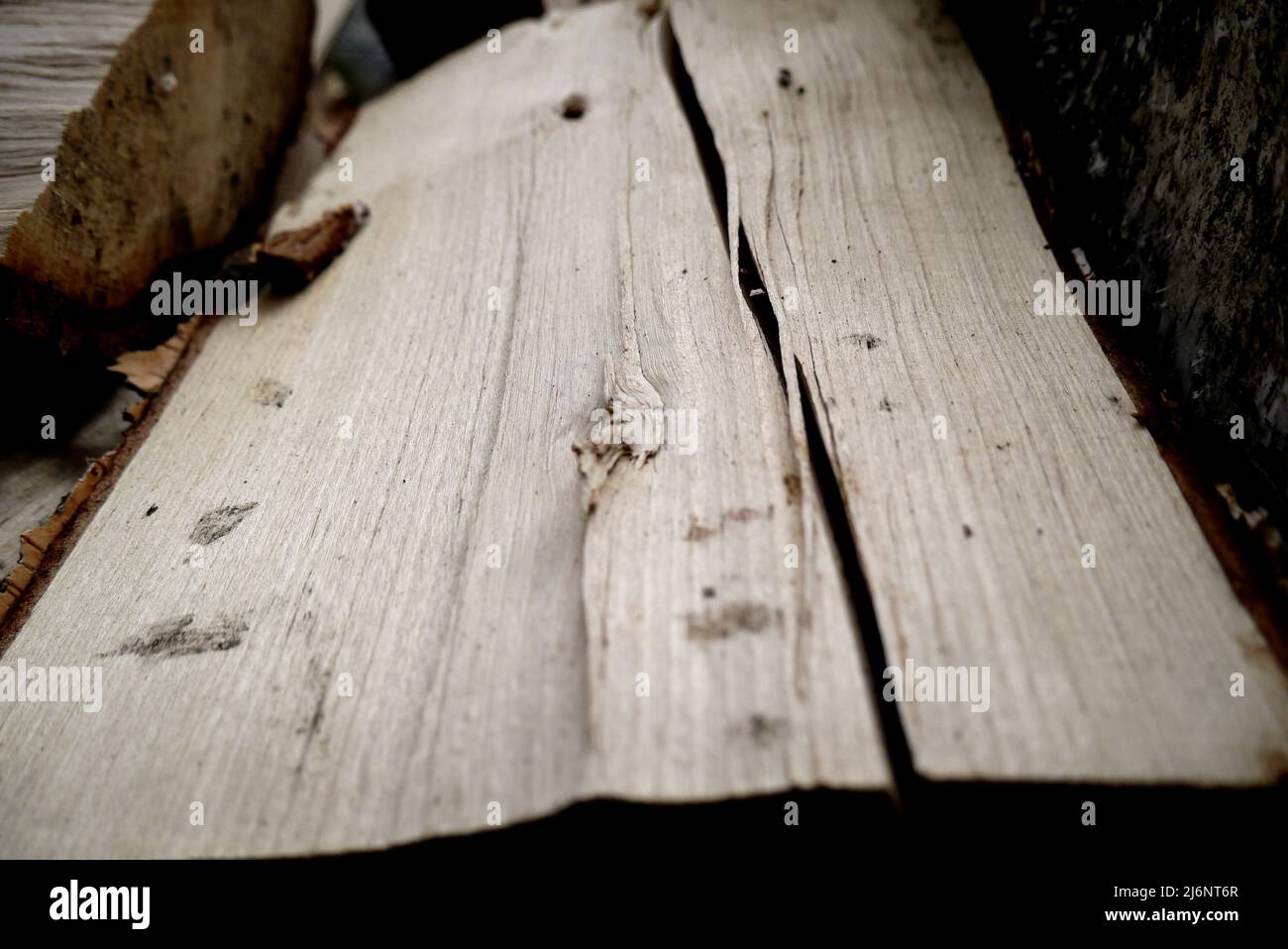 Closeup of firewood log laying outdoors Stock Photo - Alamy