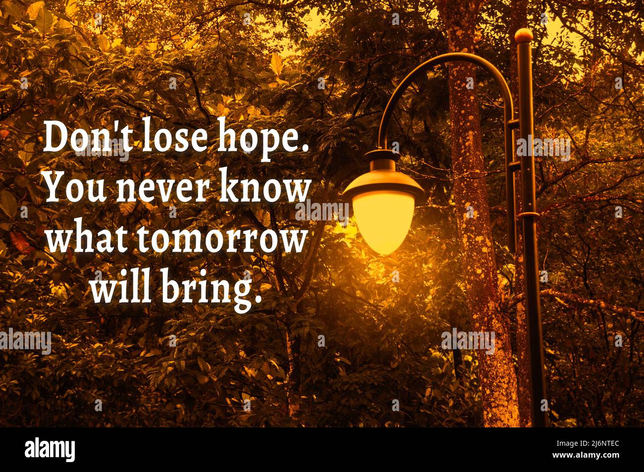 Free download Quotes about Never give up Never lose hope with images  [921x552] for your Desktop, Mobile & Tablet | Explore 17+ Never Lose Hope  Wallpapers | Never Shout Never Wallpaper, Hope