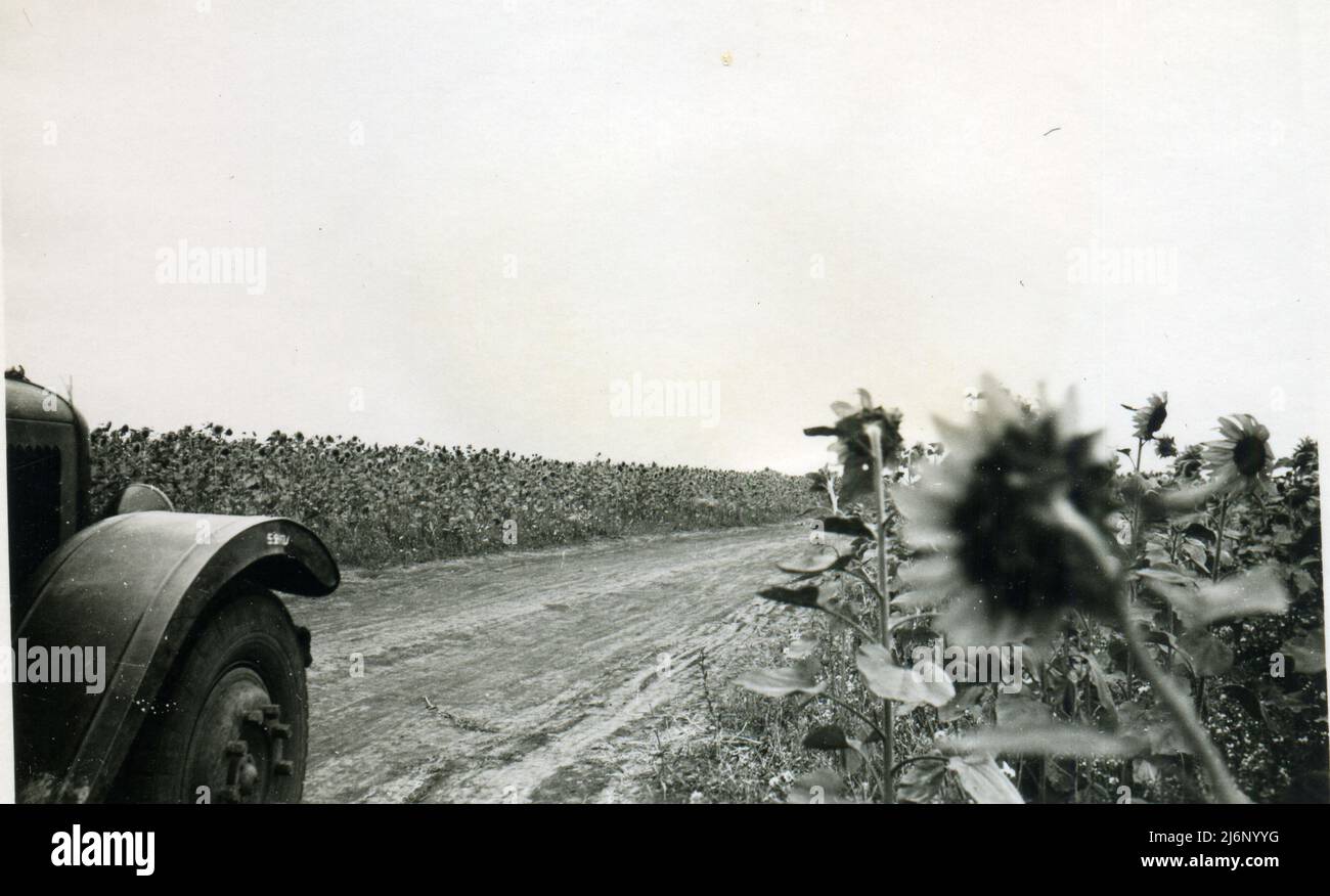 WWII WW2 german soldiers invades URSS - 13 august 1942, wehrmacht - Operation Barbarossa - Voronezh Russia Stock Photo