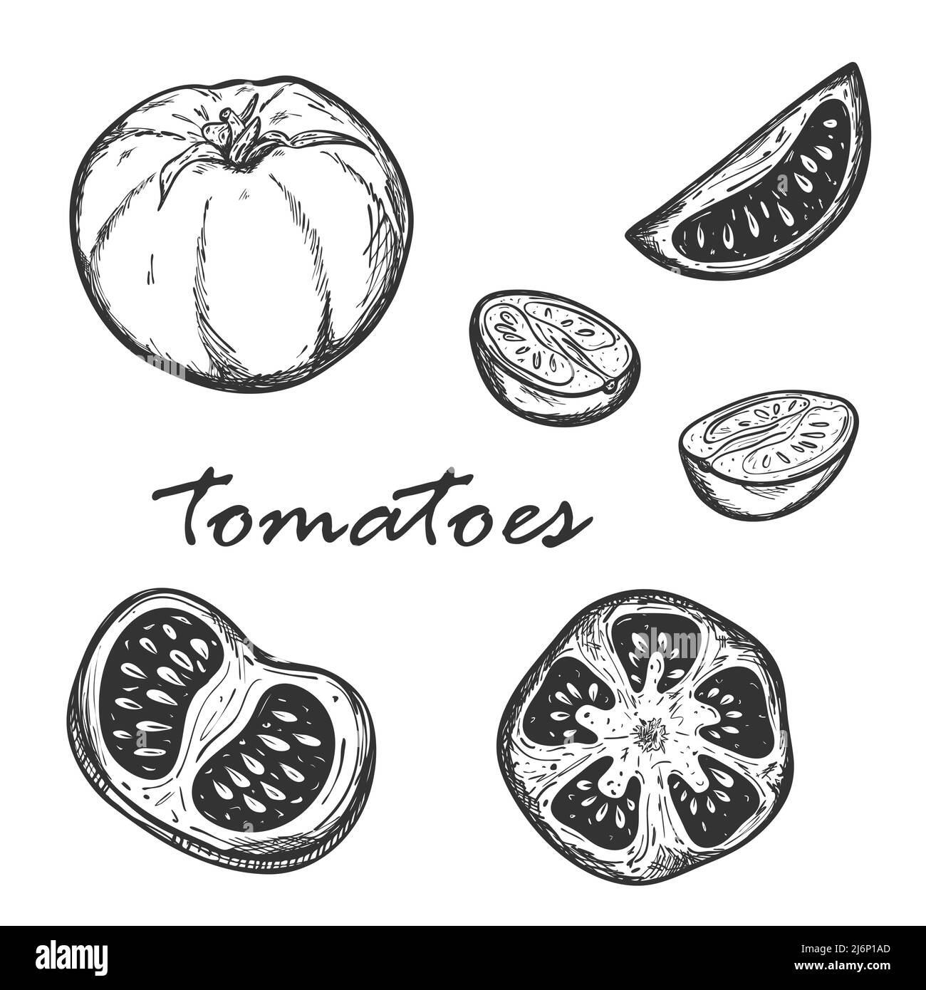 Sketch of tomatoes in different types. Set with whole, cut lengthwise and across tomatoes. Segments of cherry tomatoes. Drawn by hand and isolated on Stock Vector